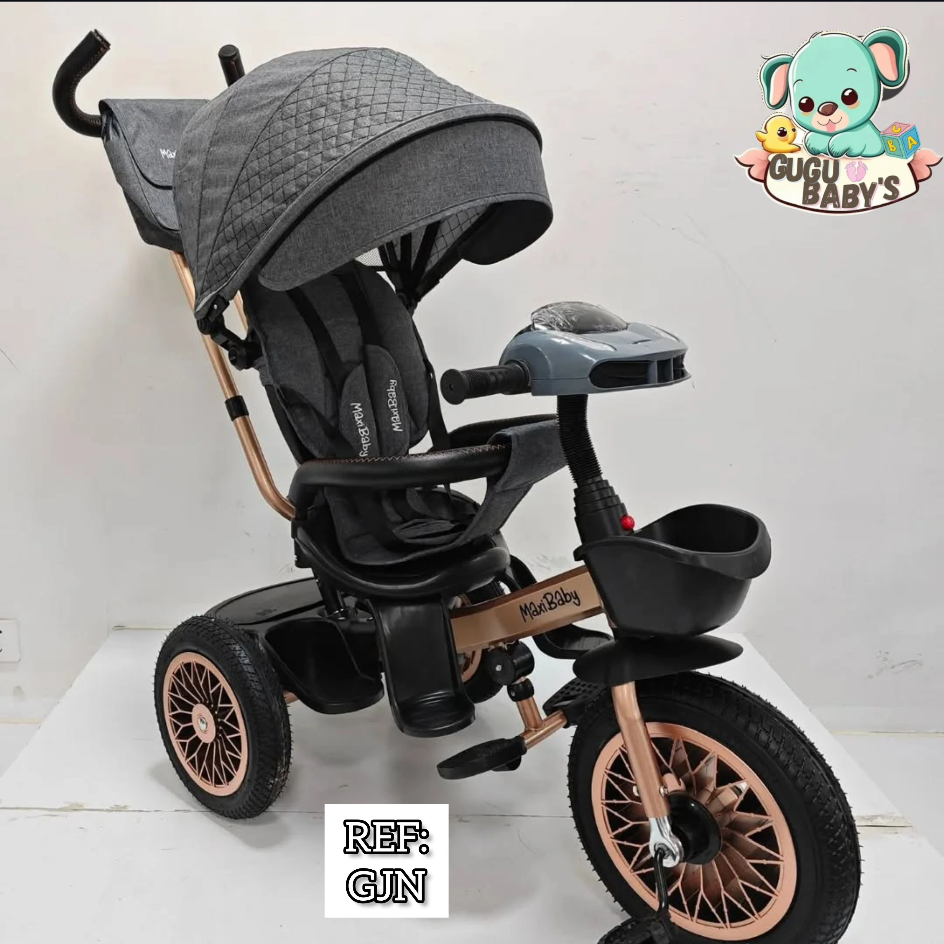 TRICICLO PASEADOR 2
