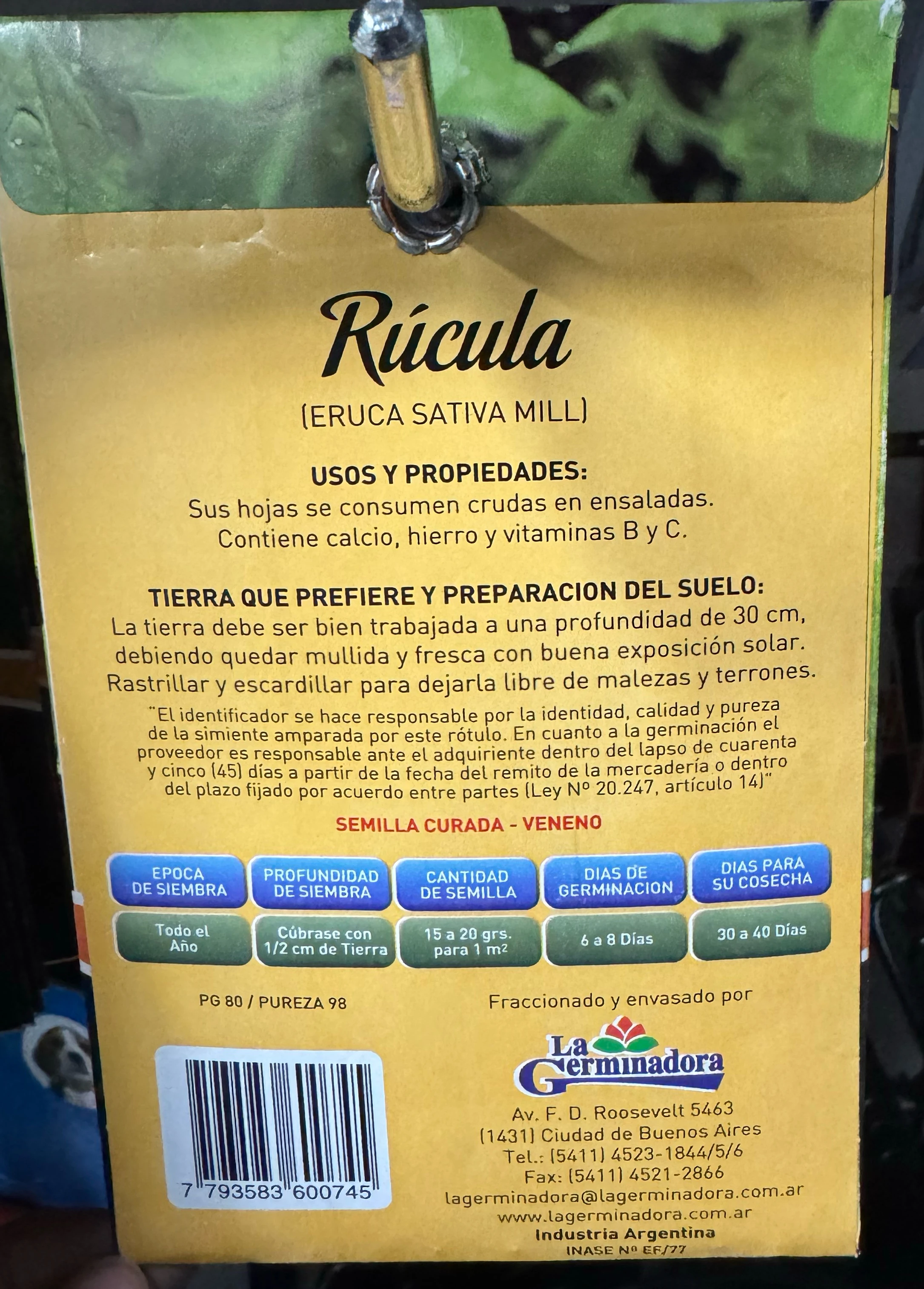 Semillas de Rucula  2