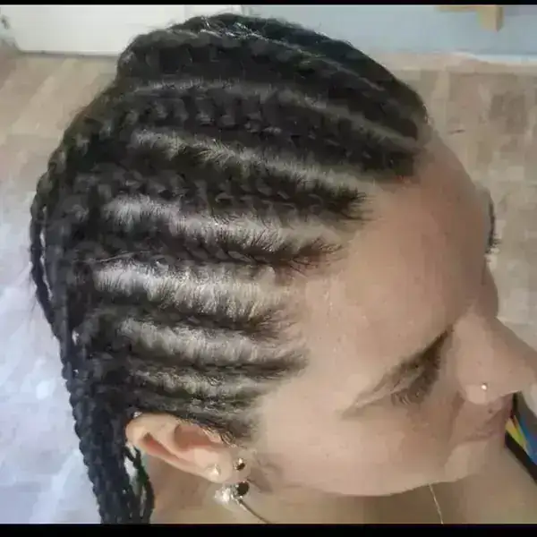 Catorce trenzas 