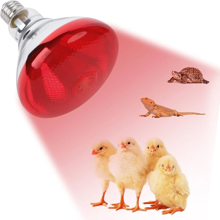 Foco Infrarojo 25w para Reptiles Exoticos Nd-21
