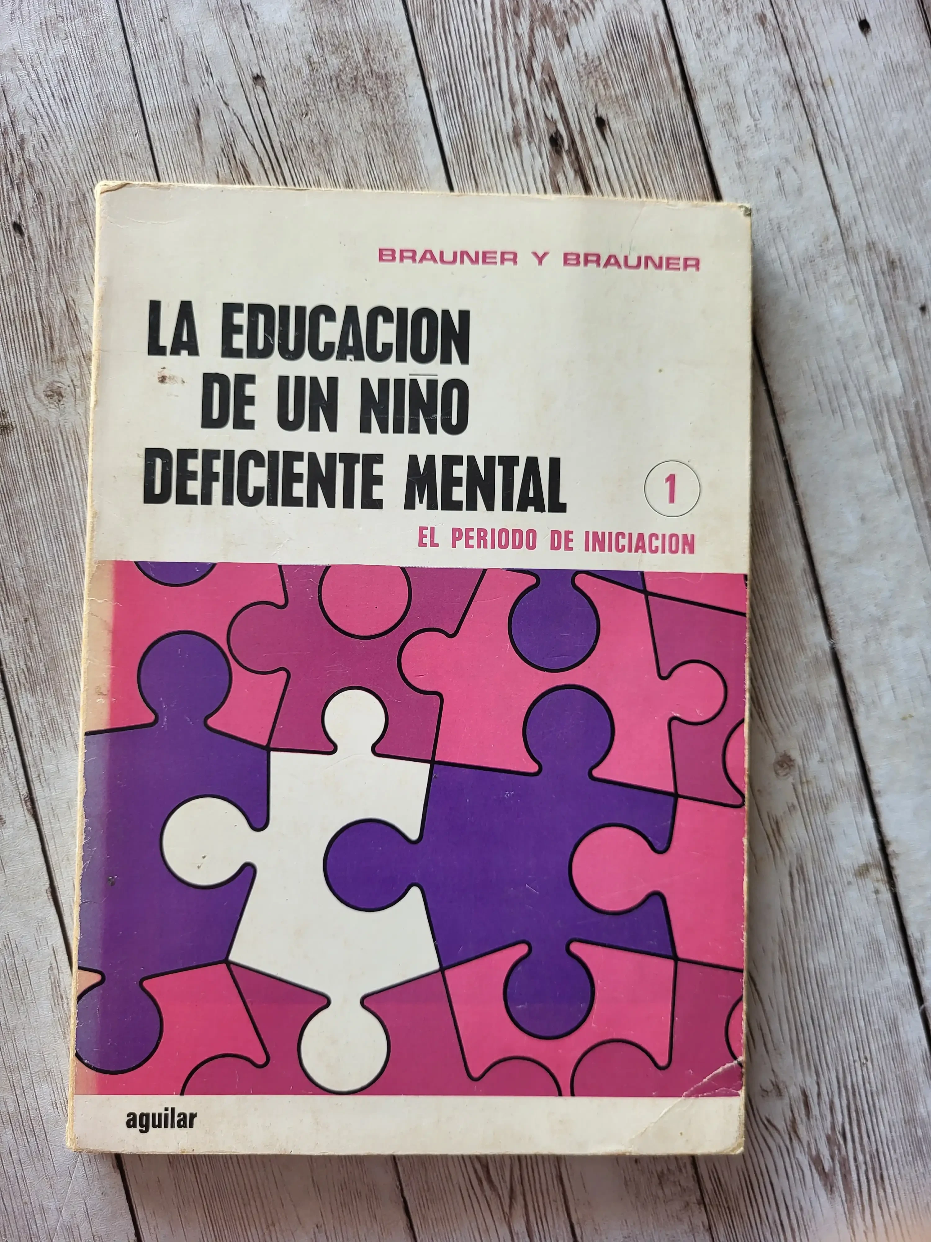 La educación de un niño deficiente mental / Brauner y Brauner / Psicologia 