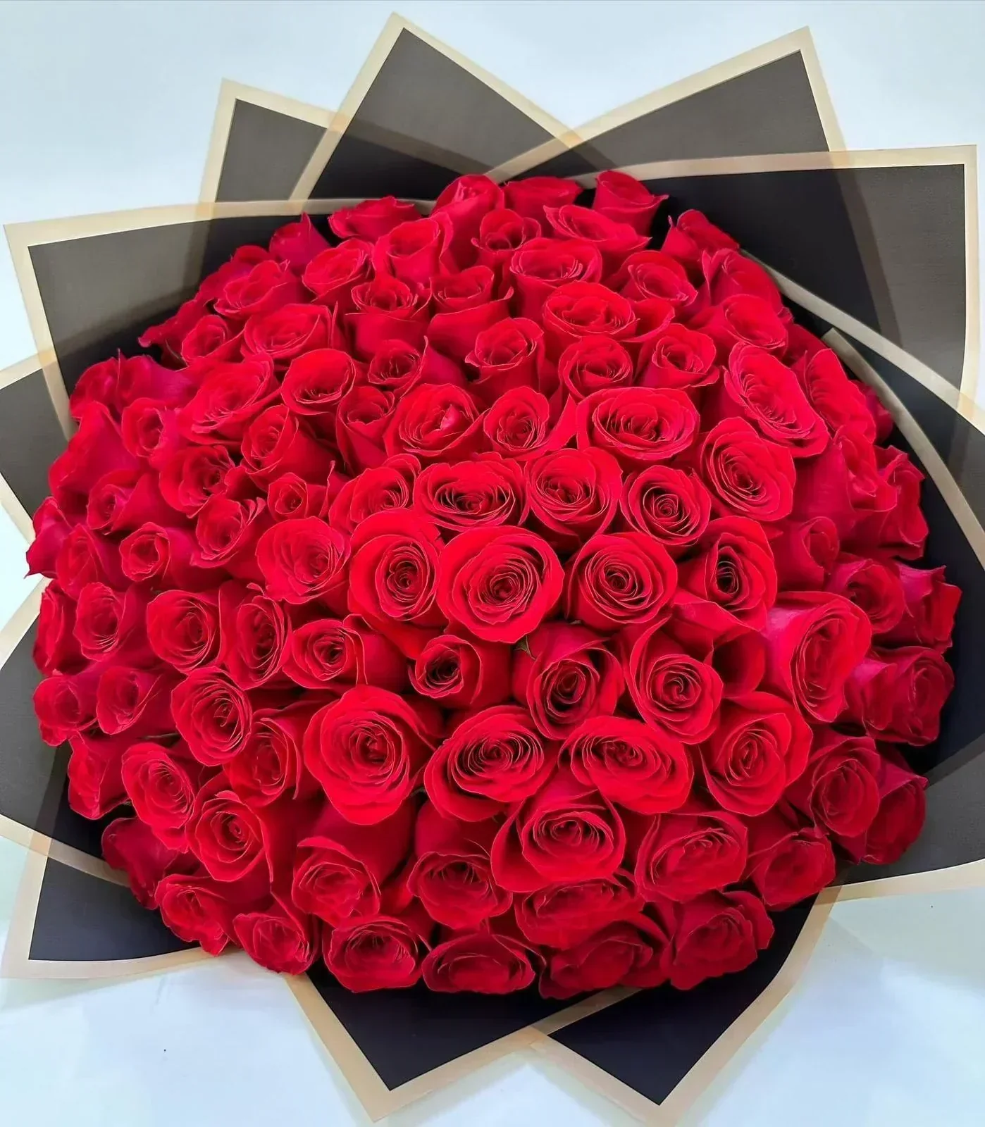 R8 Ramo 100 Rosas Rojas