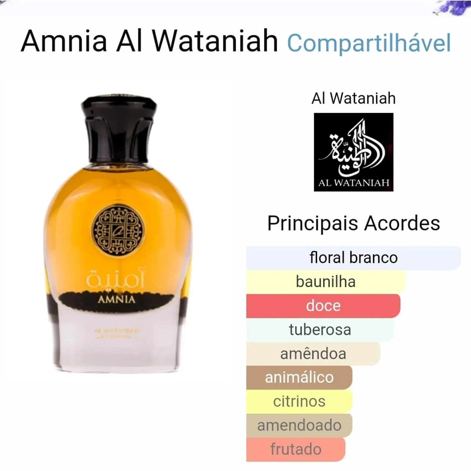 Amnia 4