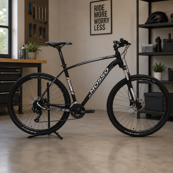 BICICLETAS