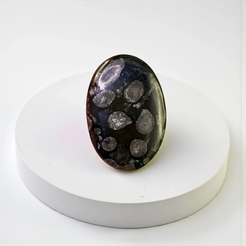 Cabujón de coral fósil negro 4