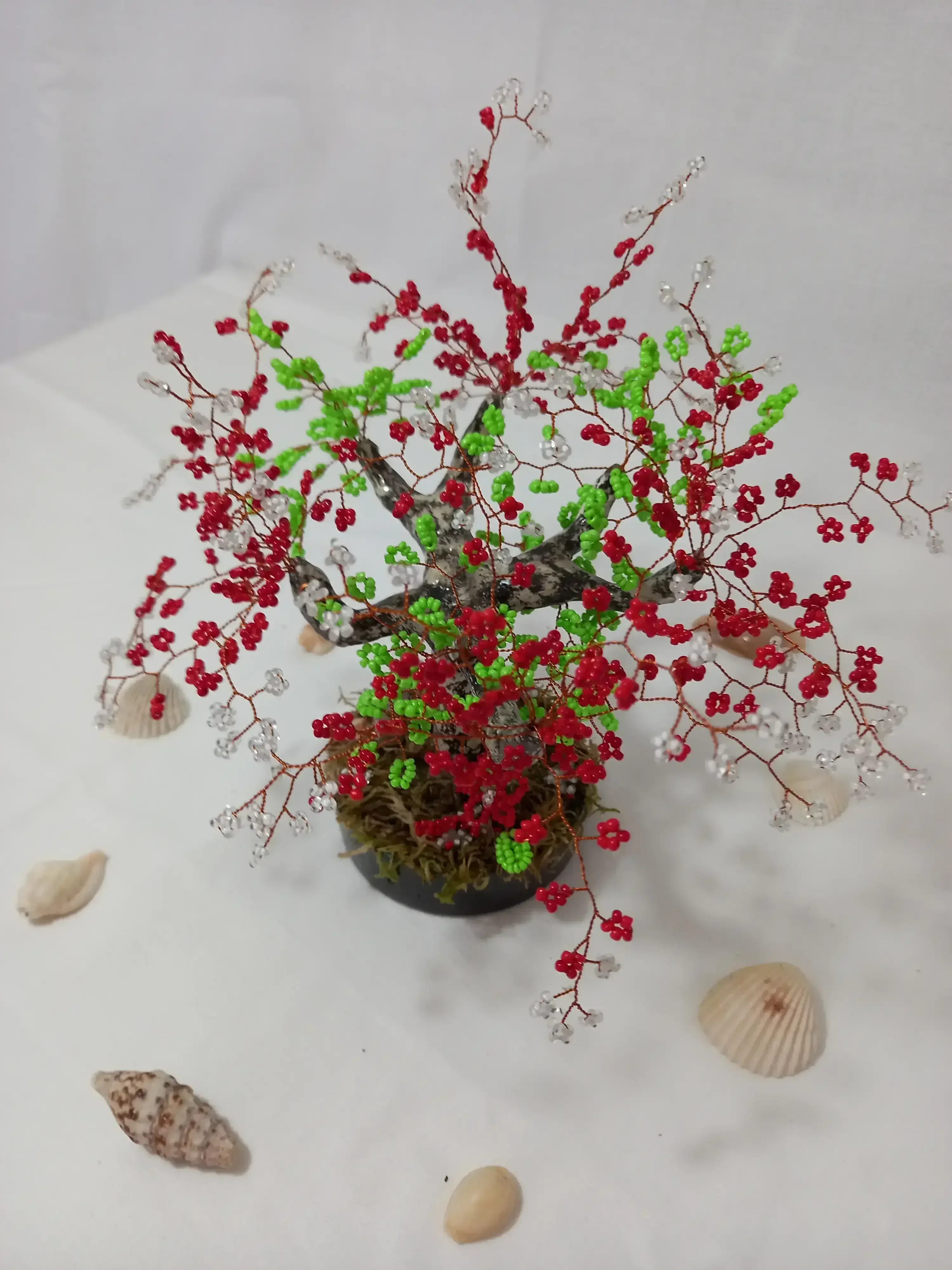 Bonsai Primavera Roja 3