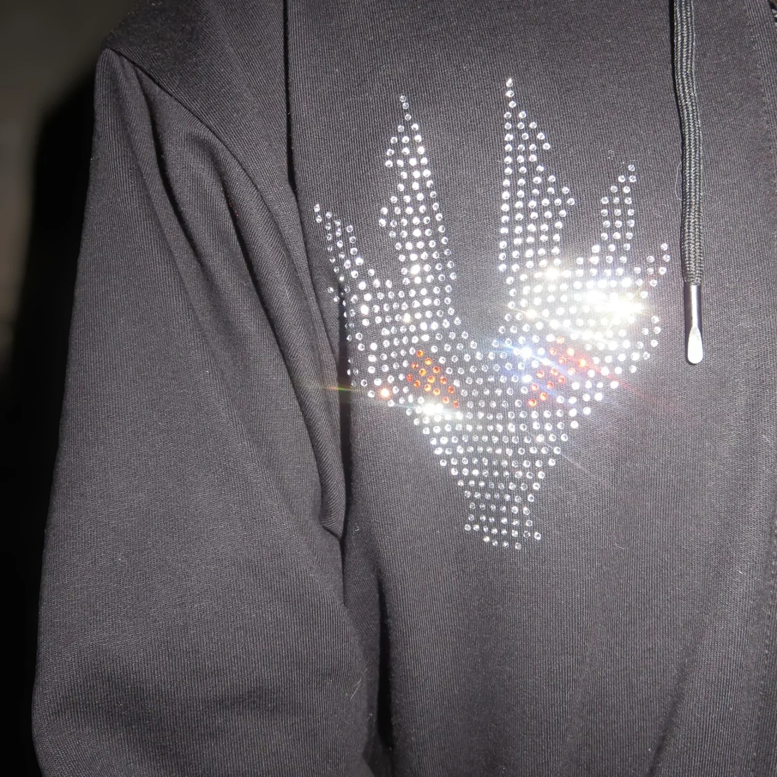 Sudadera de Dragon 3