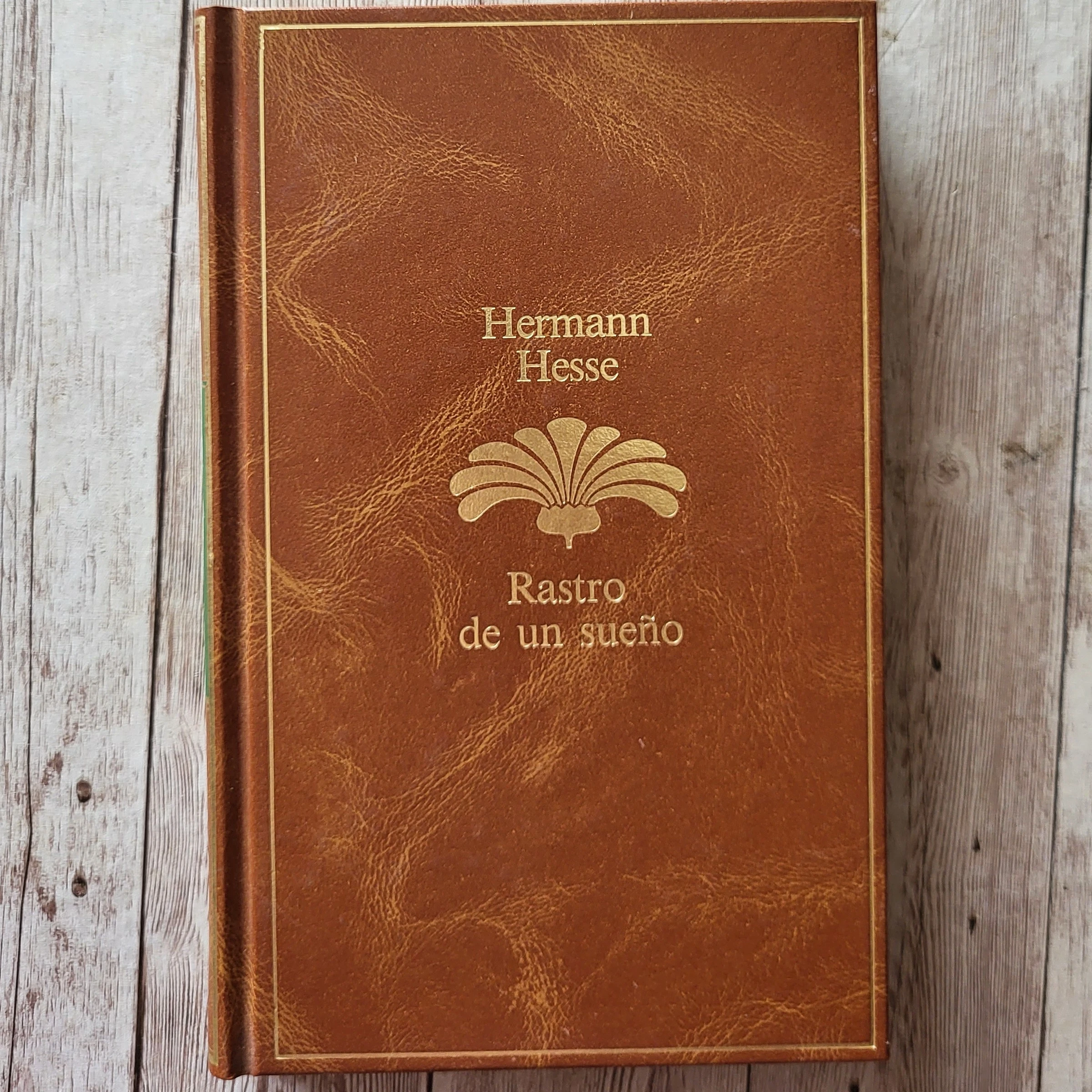 Rastro de un sueño / Hermann Hesse / Relatos / Clasicos