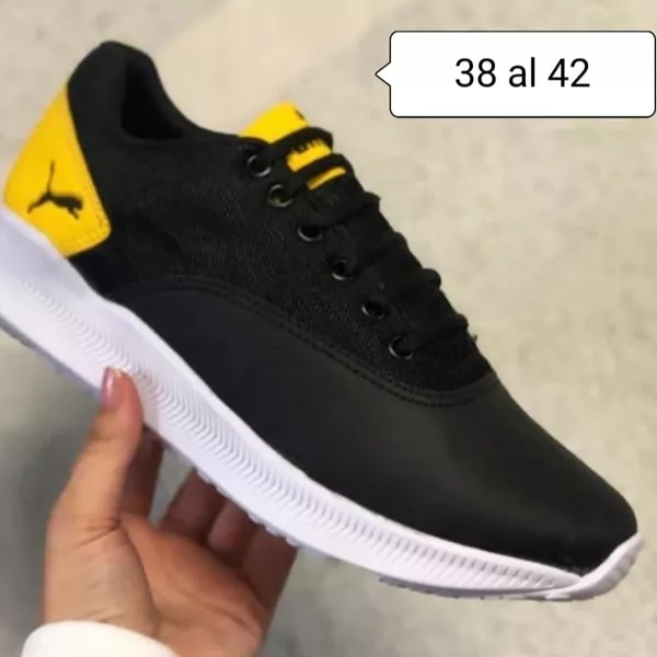 Puma 3