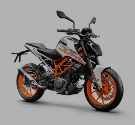 390 DUKE NG 2022