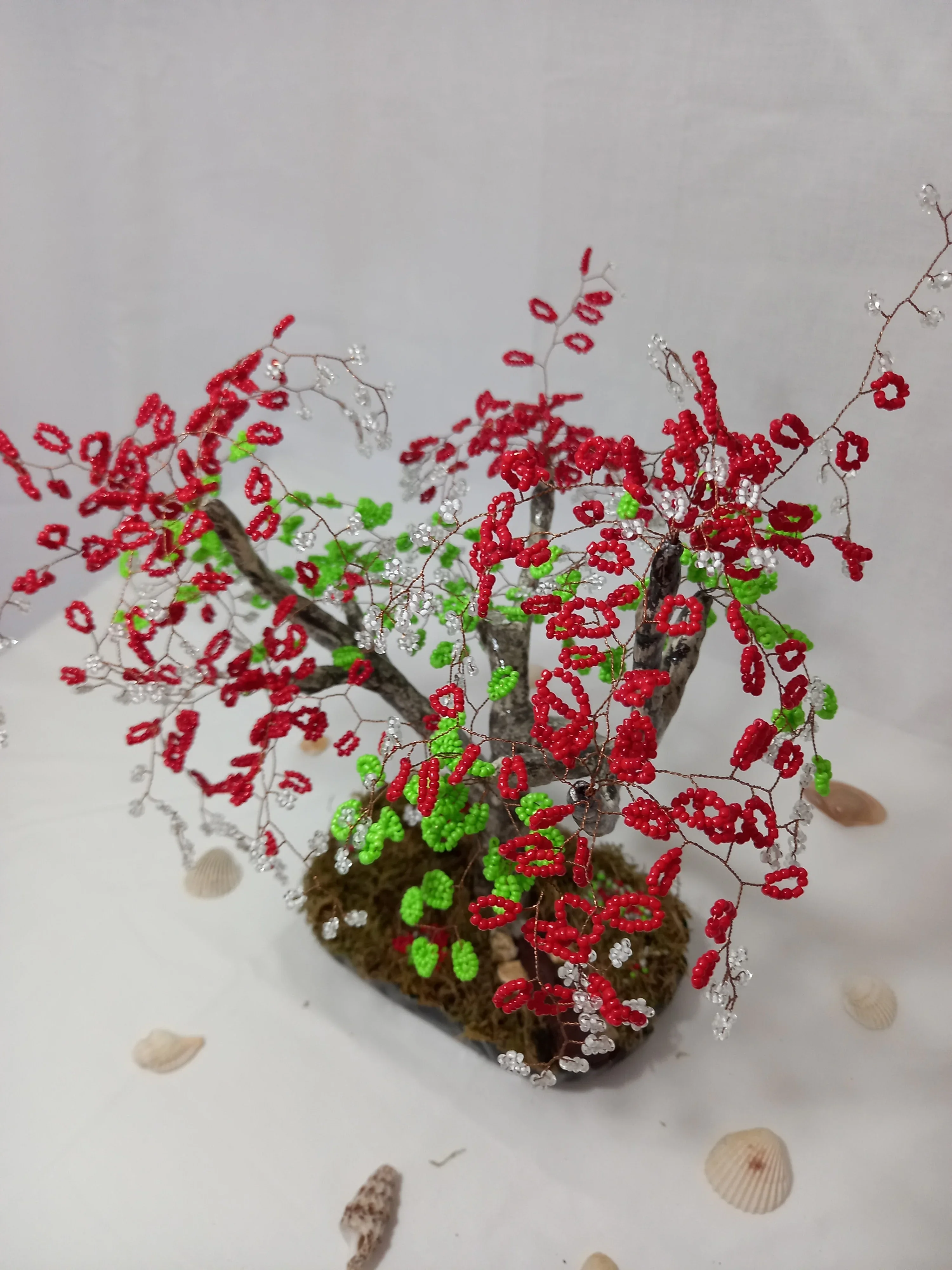 Bonsai Primavera roja 3