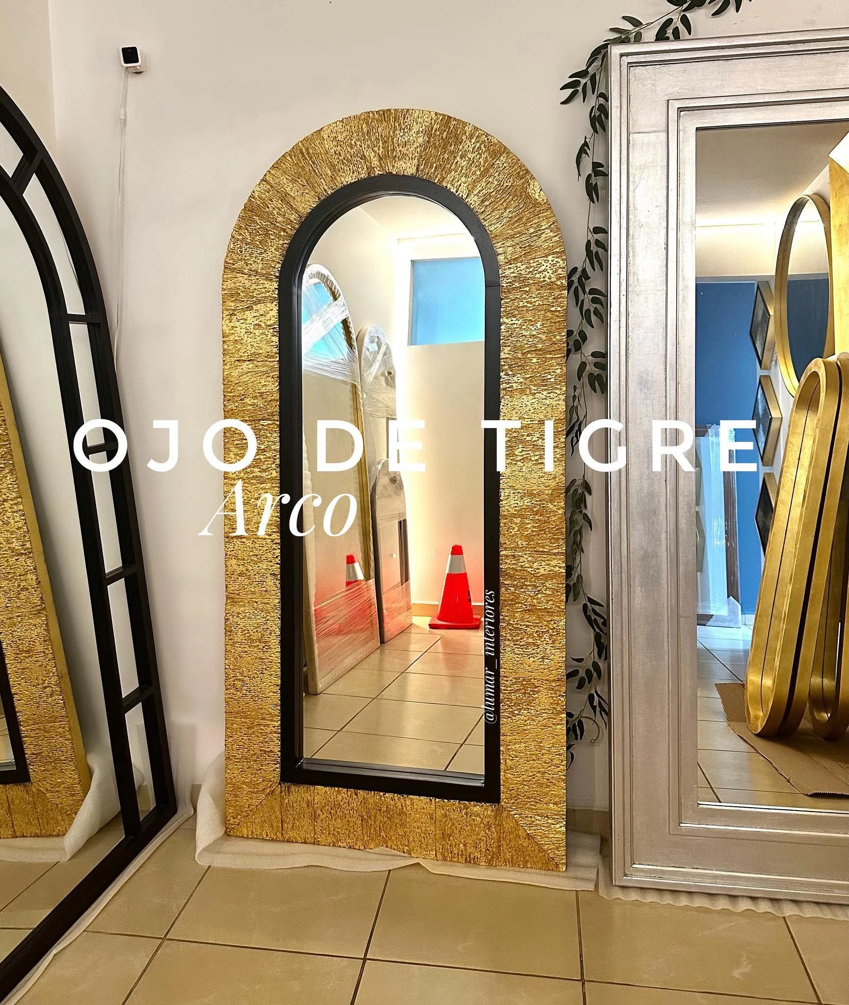 Espejo Ojo de Tigre Arco Corteza Madera 190x90cm 7