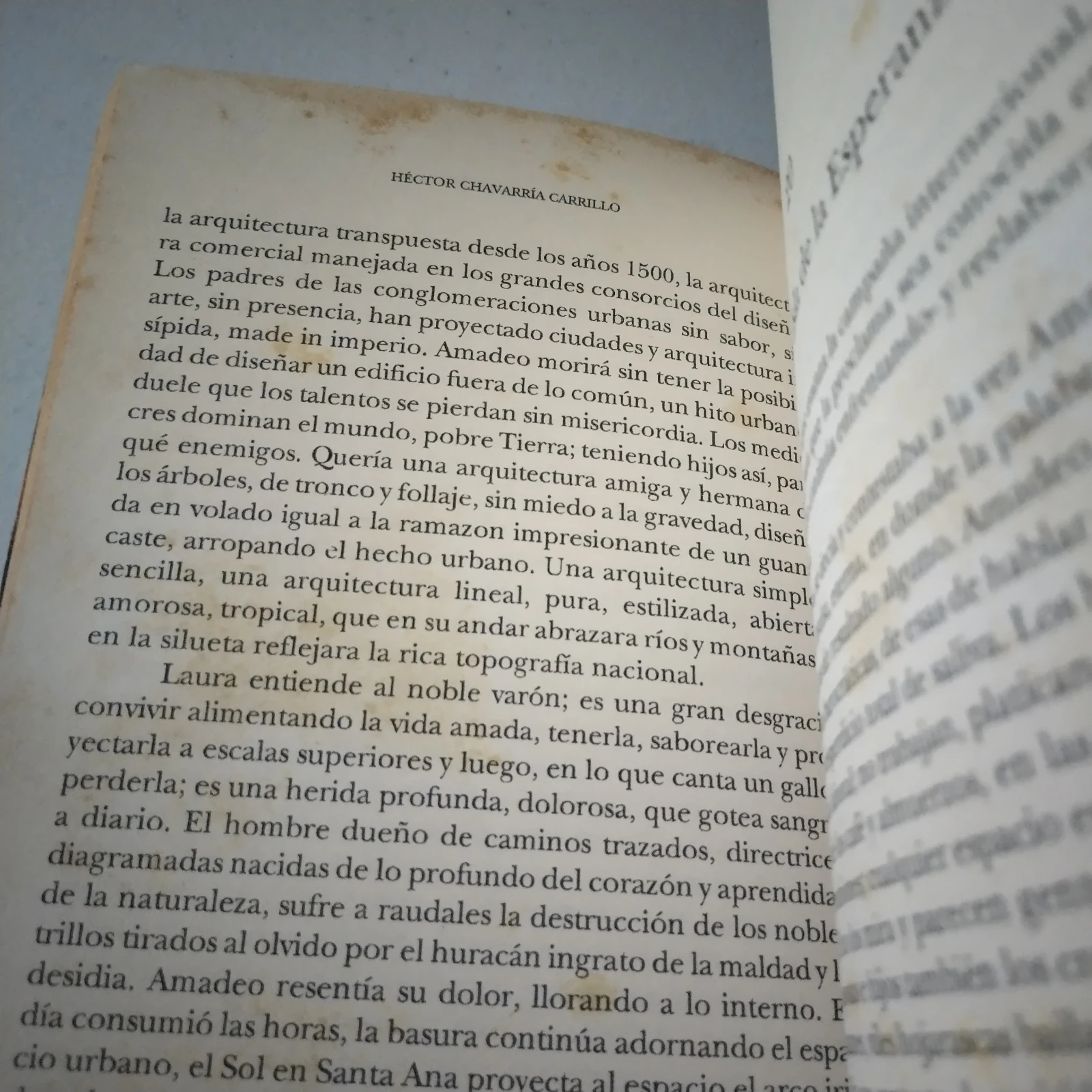 El dia del silencio, Héctor Chavarría, usado 3