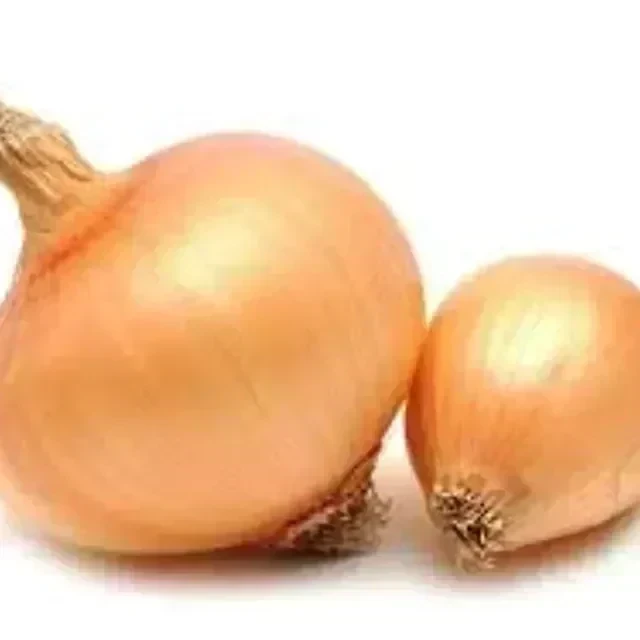 kg CEBOLLA maquinada de brasil
