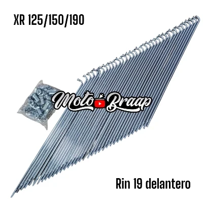 RP XR 150 L / RP XR 190 L Radios delanteros 19 9x206 / 9x206,5 IMRAD28 OKL