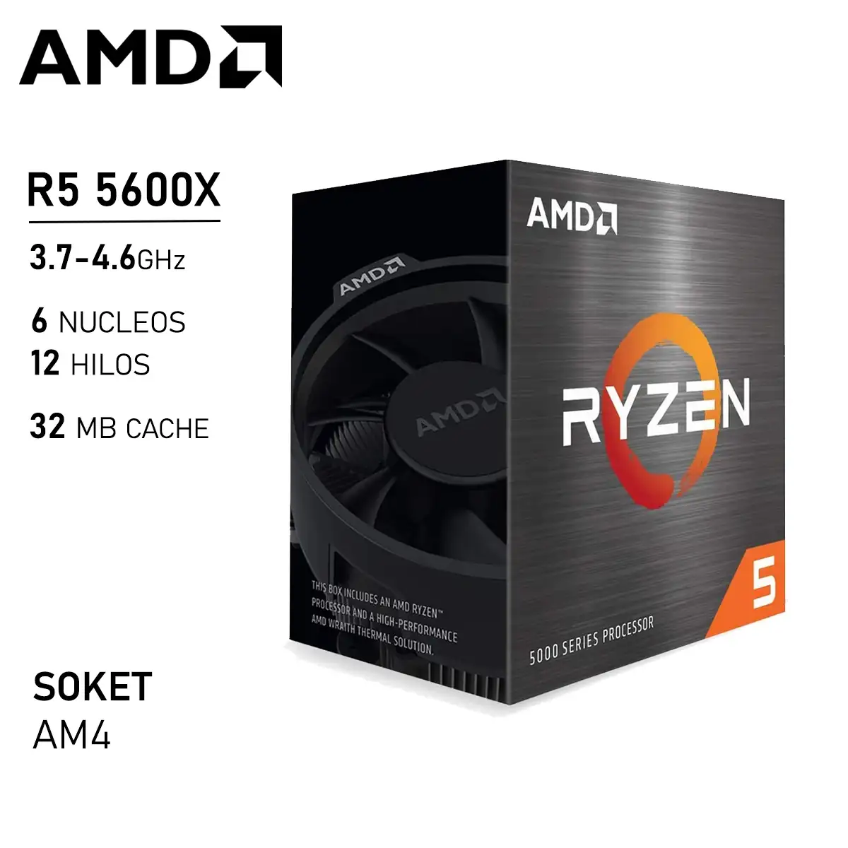 AMD Ryzen 5 5600X