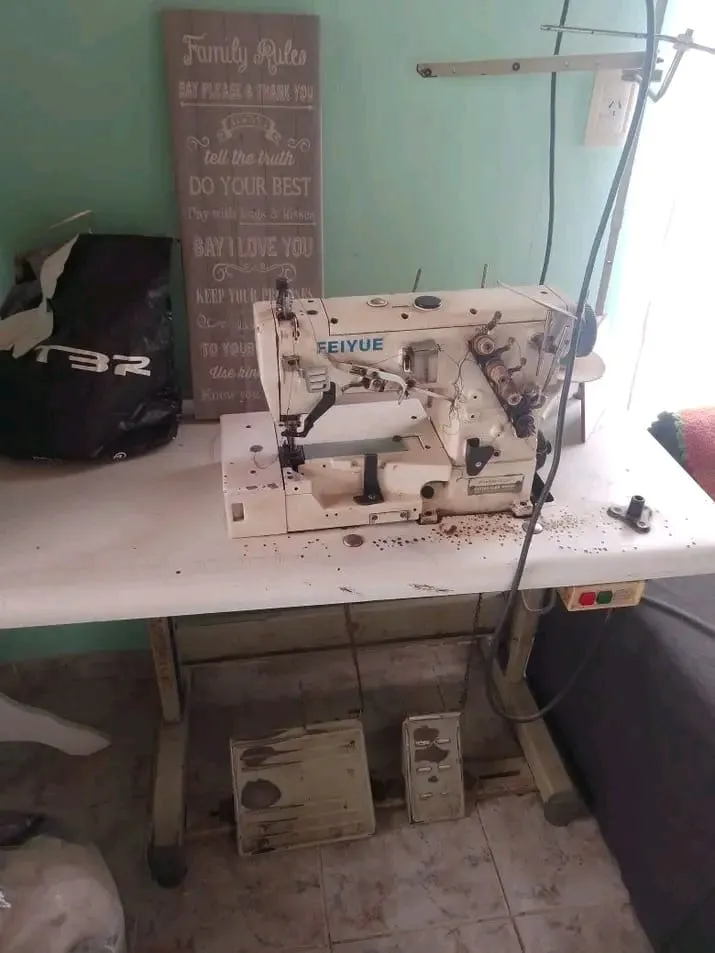Collareta