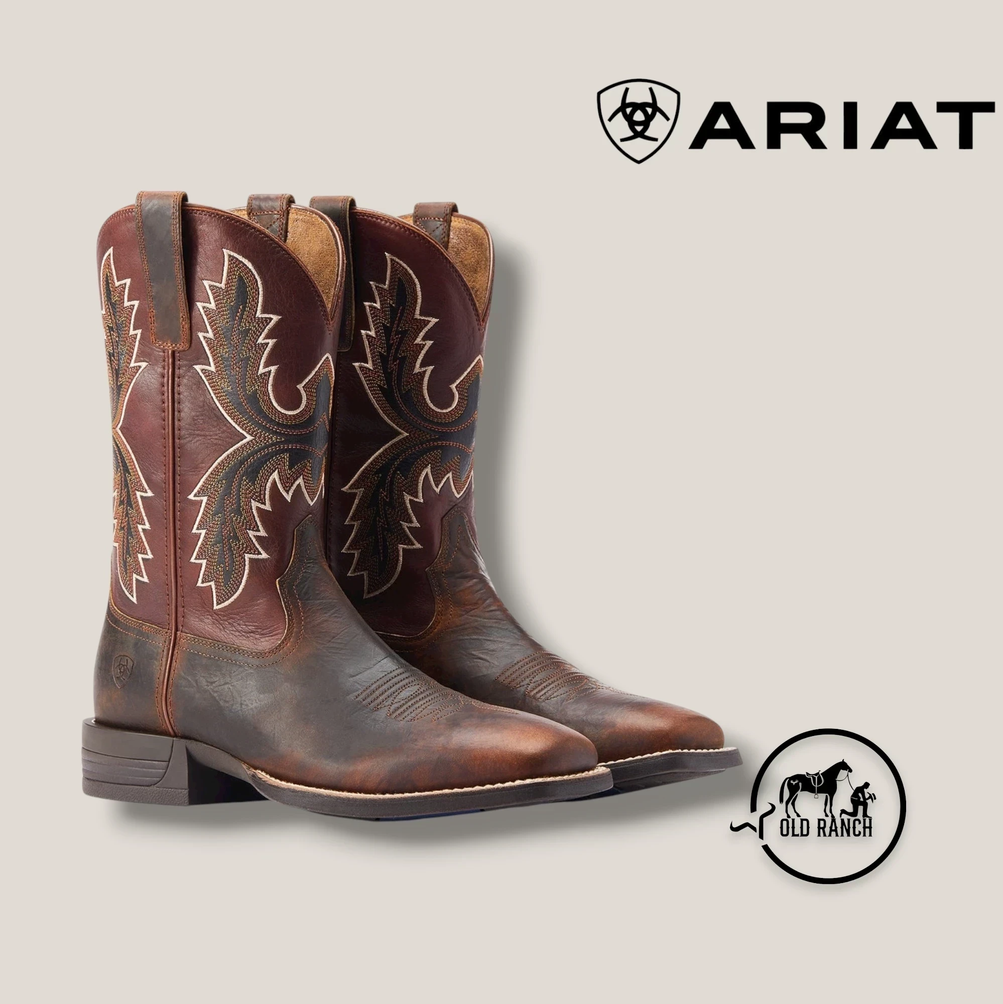 ARIAT  PREMIUM  2