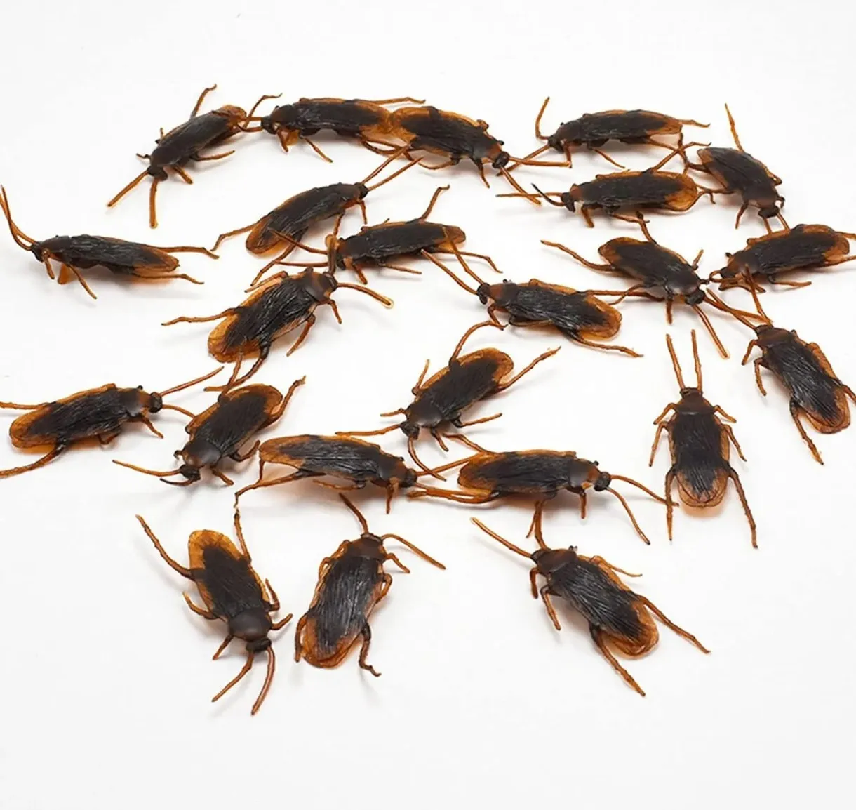 Cucaracha de goma 7cm aprox por 10 unidades  2