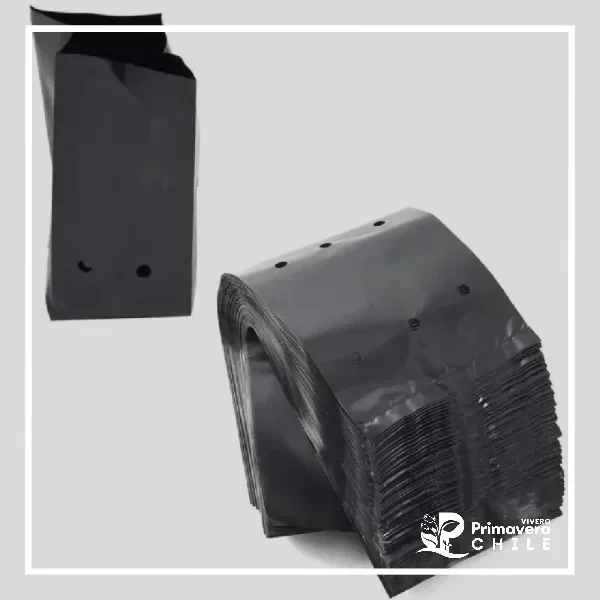 Pack 50 Bolsas de Poliestireno Para Plantas 15x15