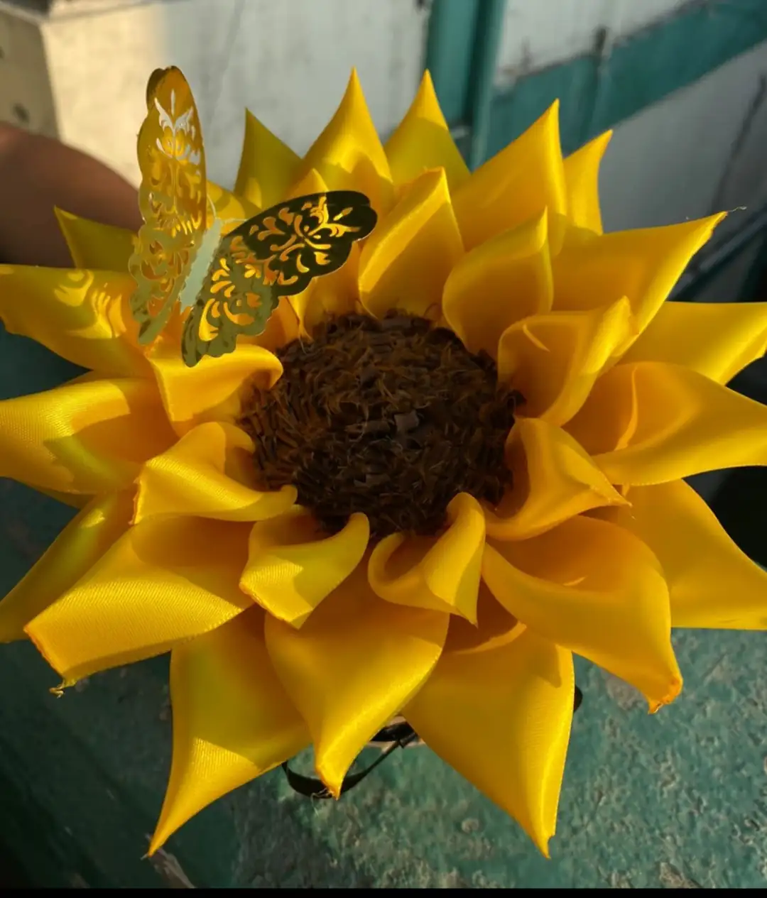 CAJA GIRASOL ENTERNO