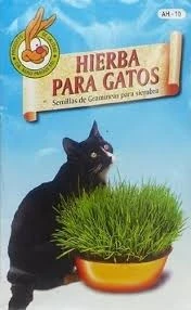 Semillas para gatos parque