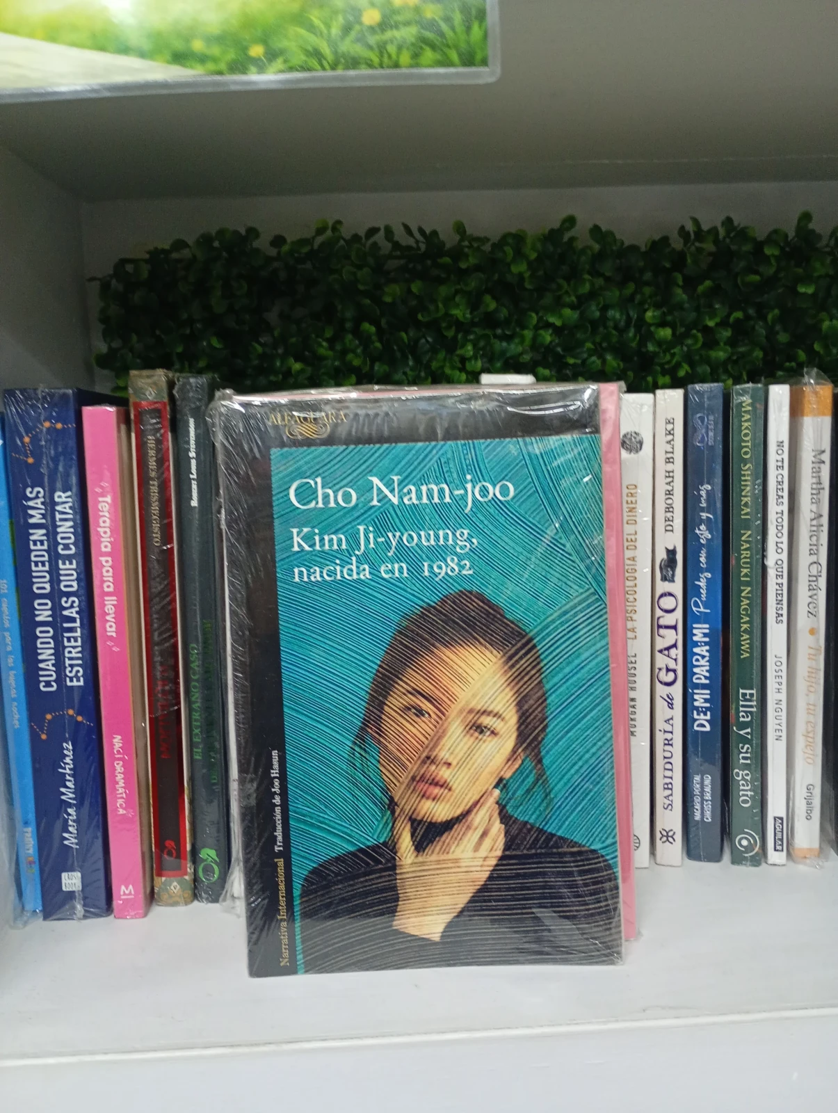 Kim ji nacida en 1982