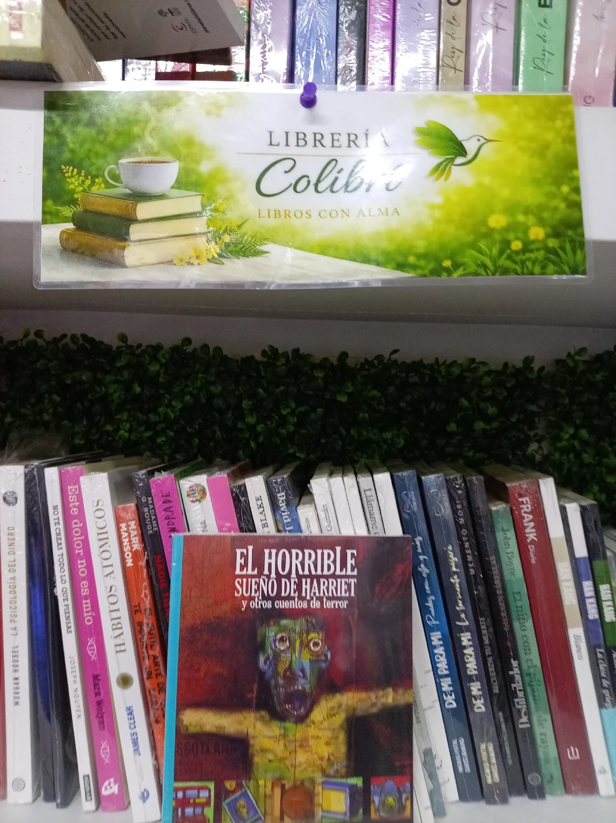 El horrible sueño de Harriet y otros cuentos de terror