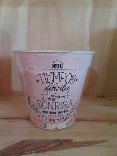 Maceta sublimada 6