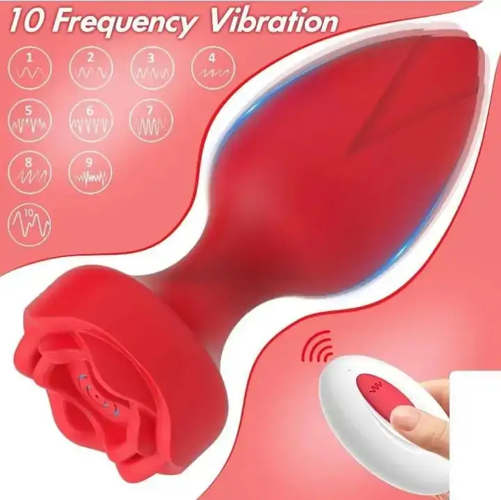 Plug anal con Vibrador 