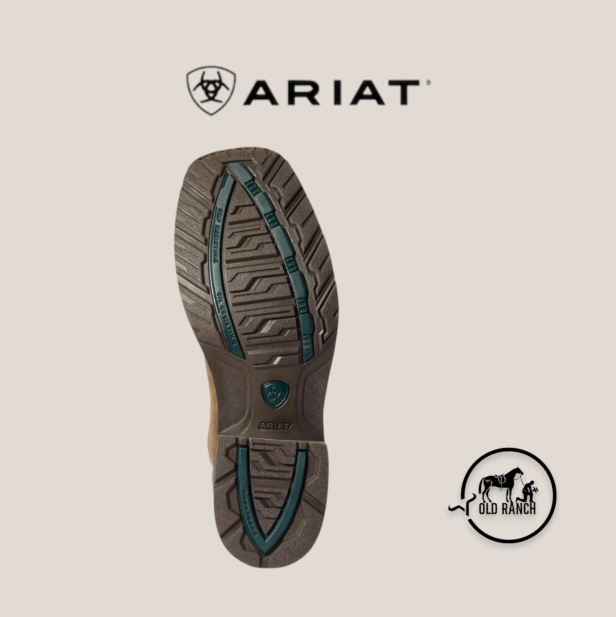 ARIAT 3