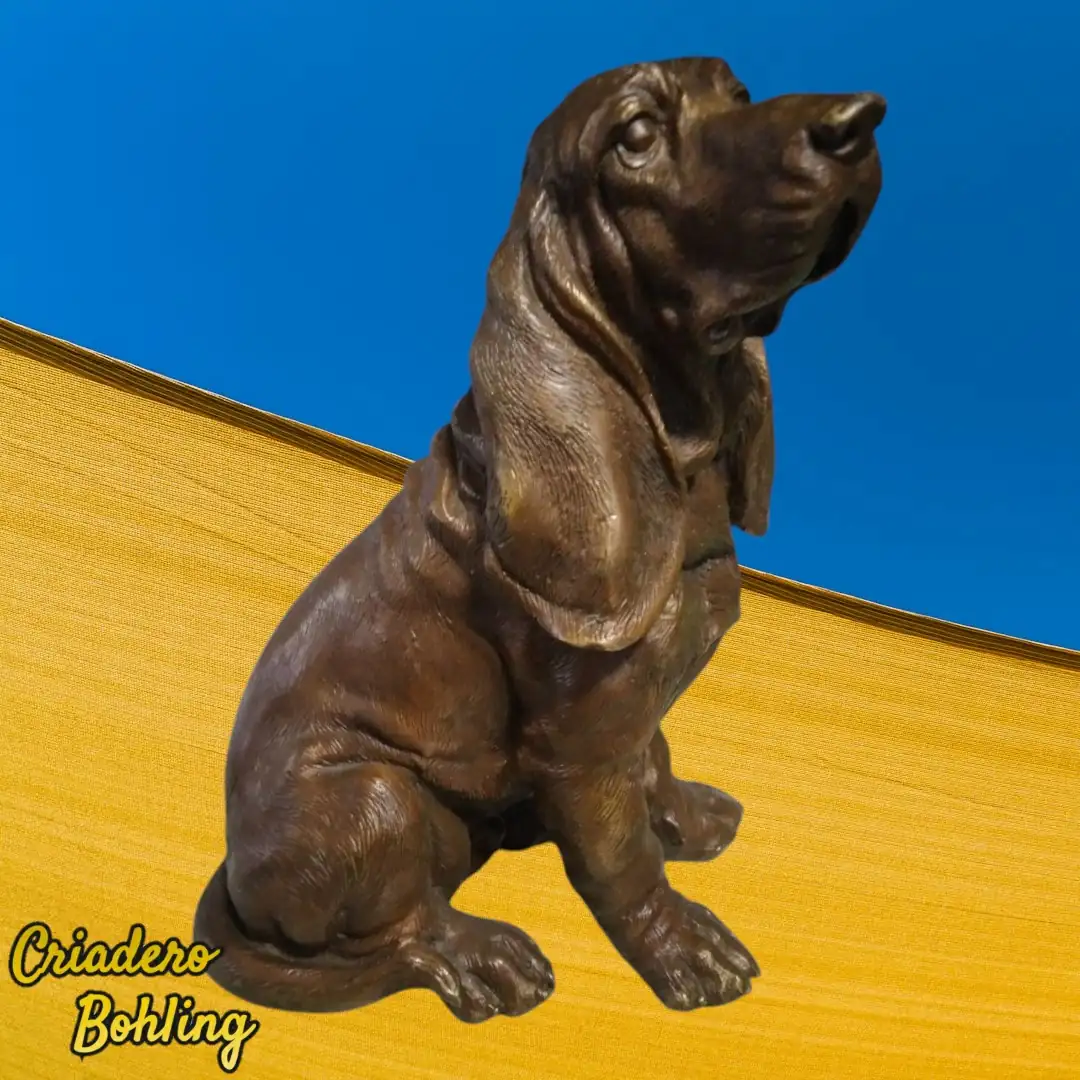 Basset Hound de cobre