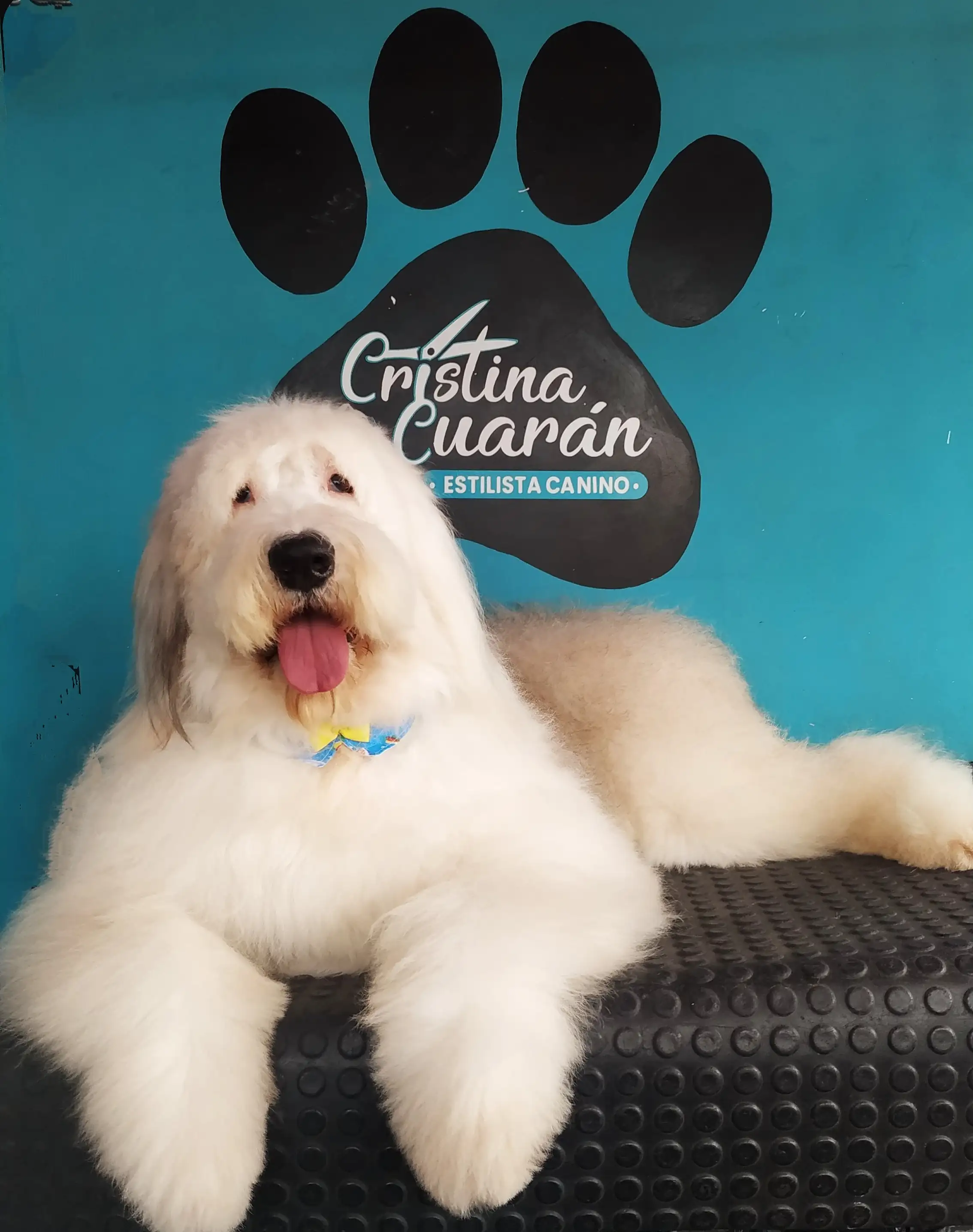 DISEÑO CON PELO LARGO 