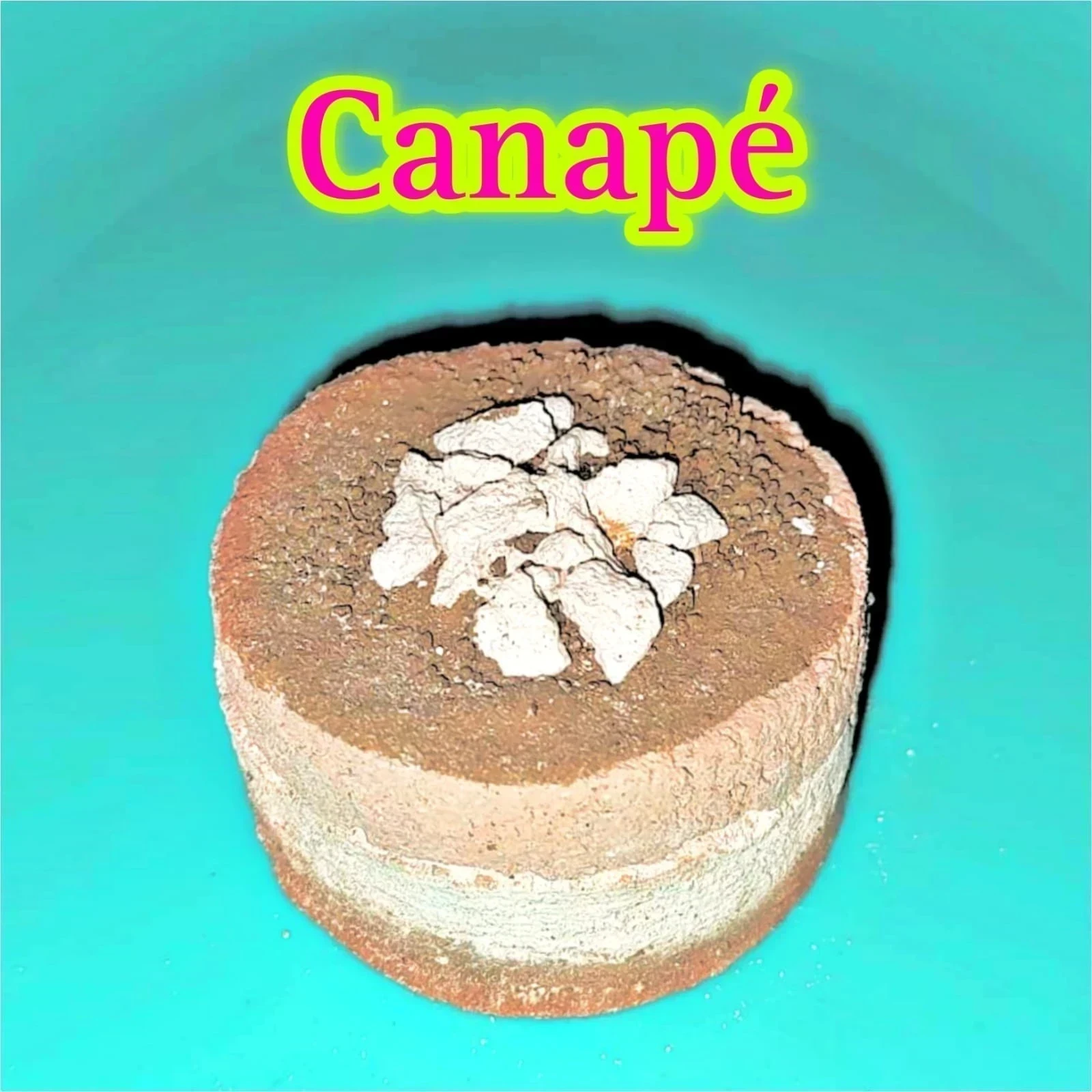 Canapé 