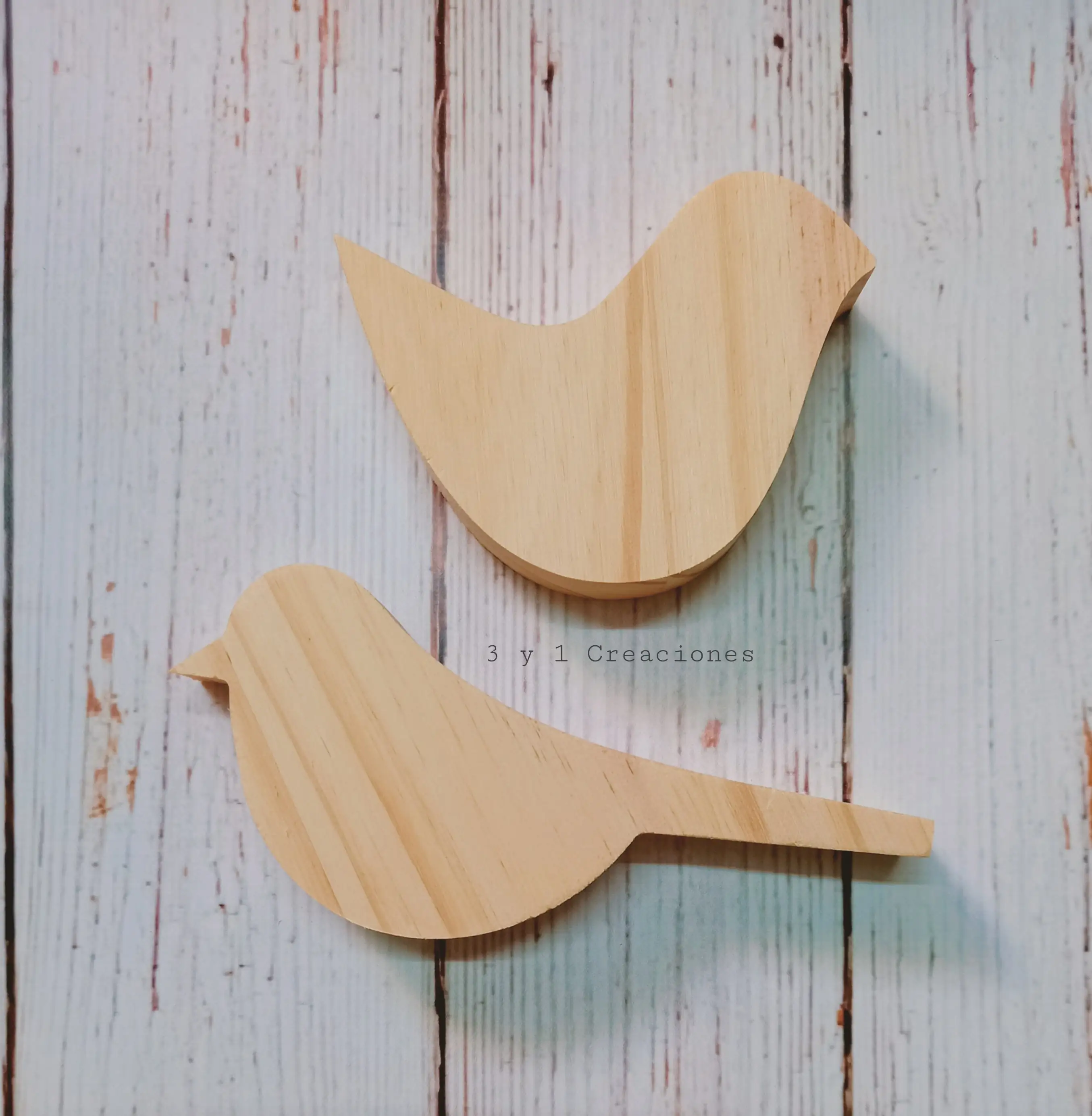 PAJARITO SIMPLE