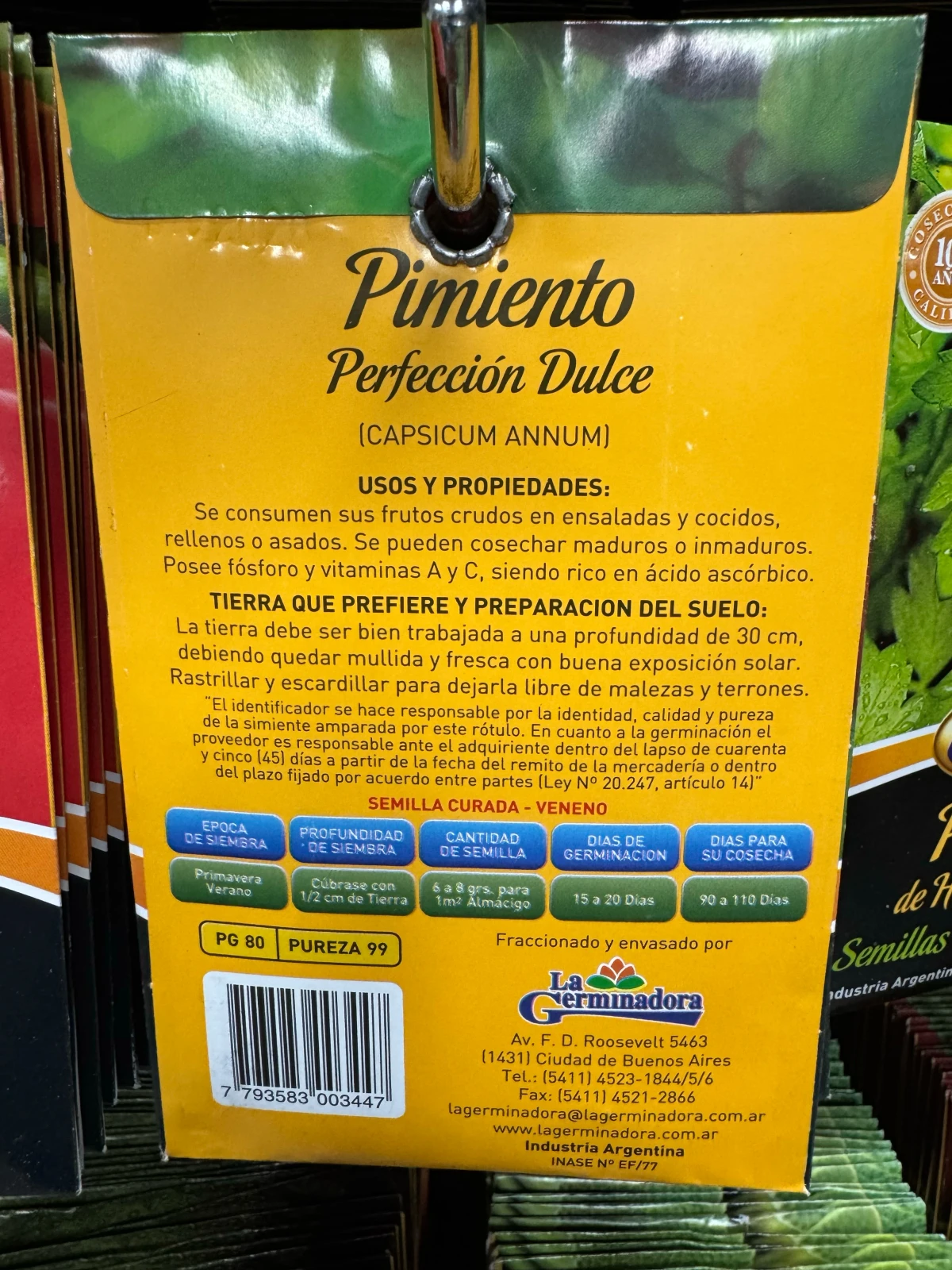 Pimiento semillas de hortalizas  2