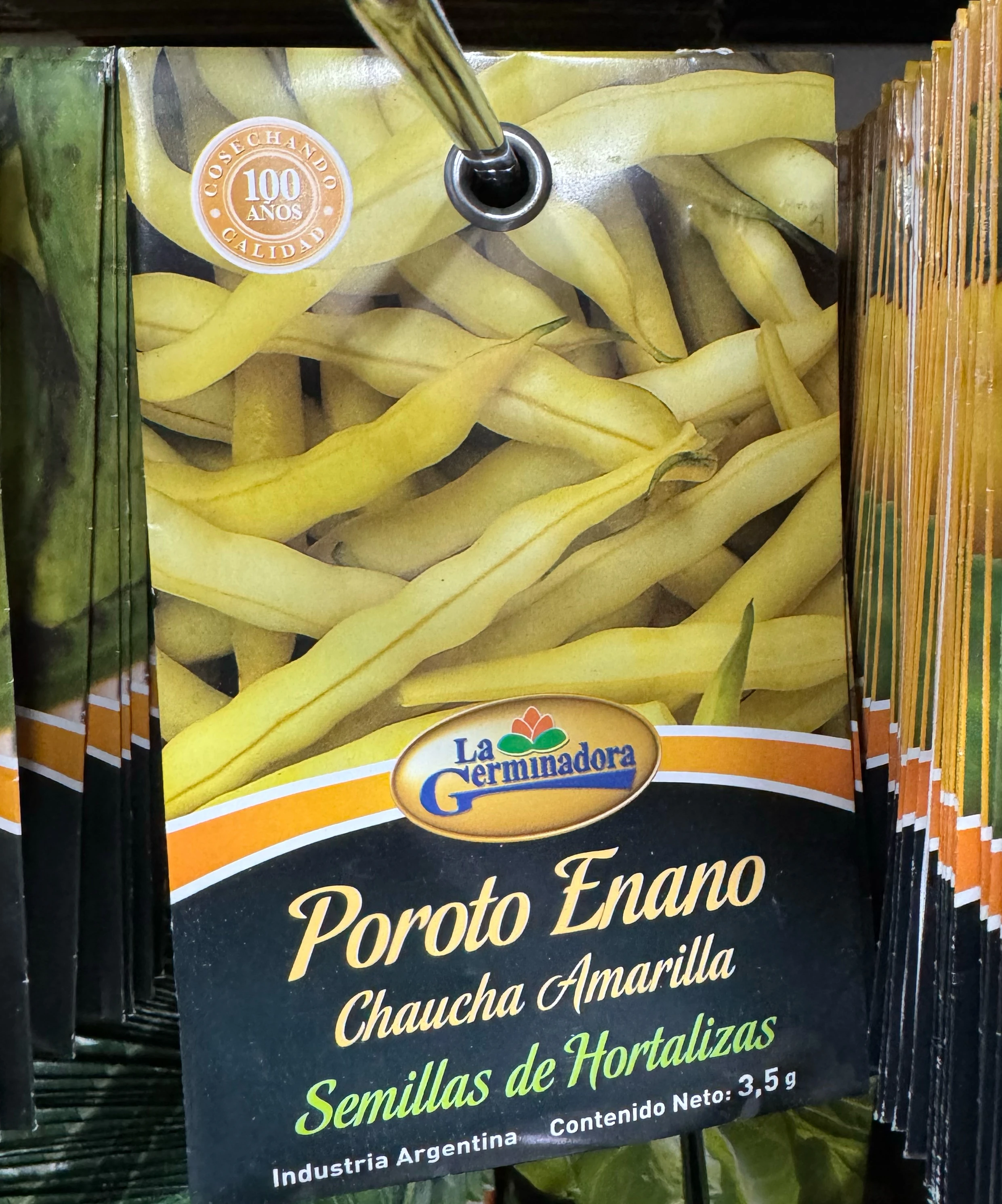 POROTO ENANO Semillas 
