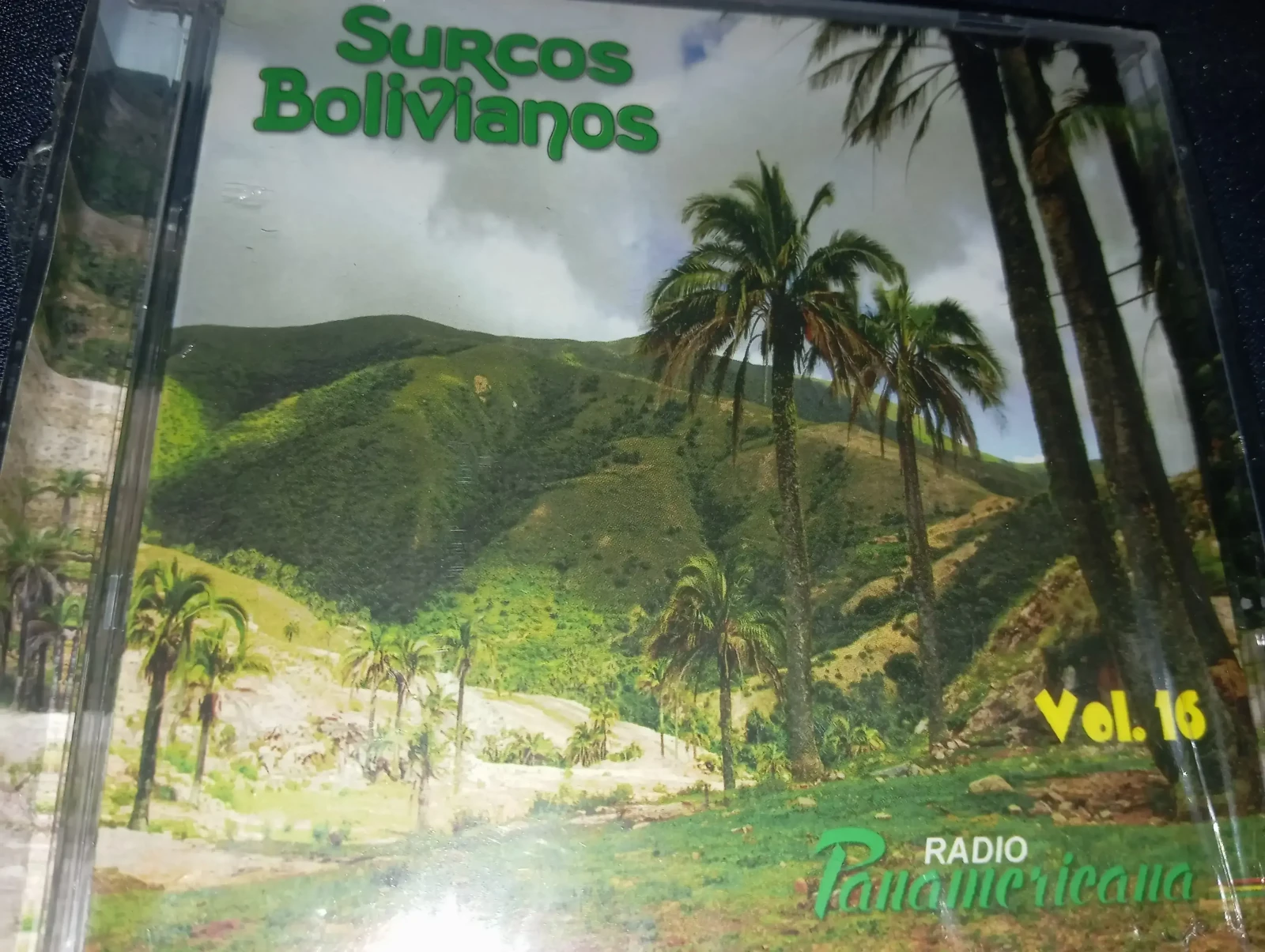 Varios - Surcos Bolivianos Vol. 16 (DISCOLANDIA)