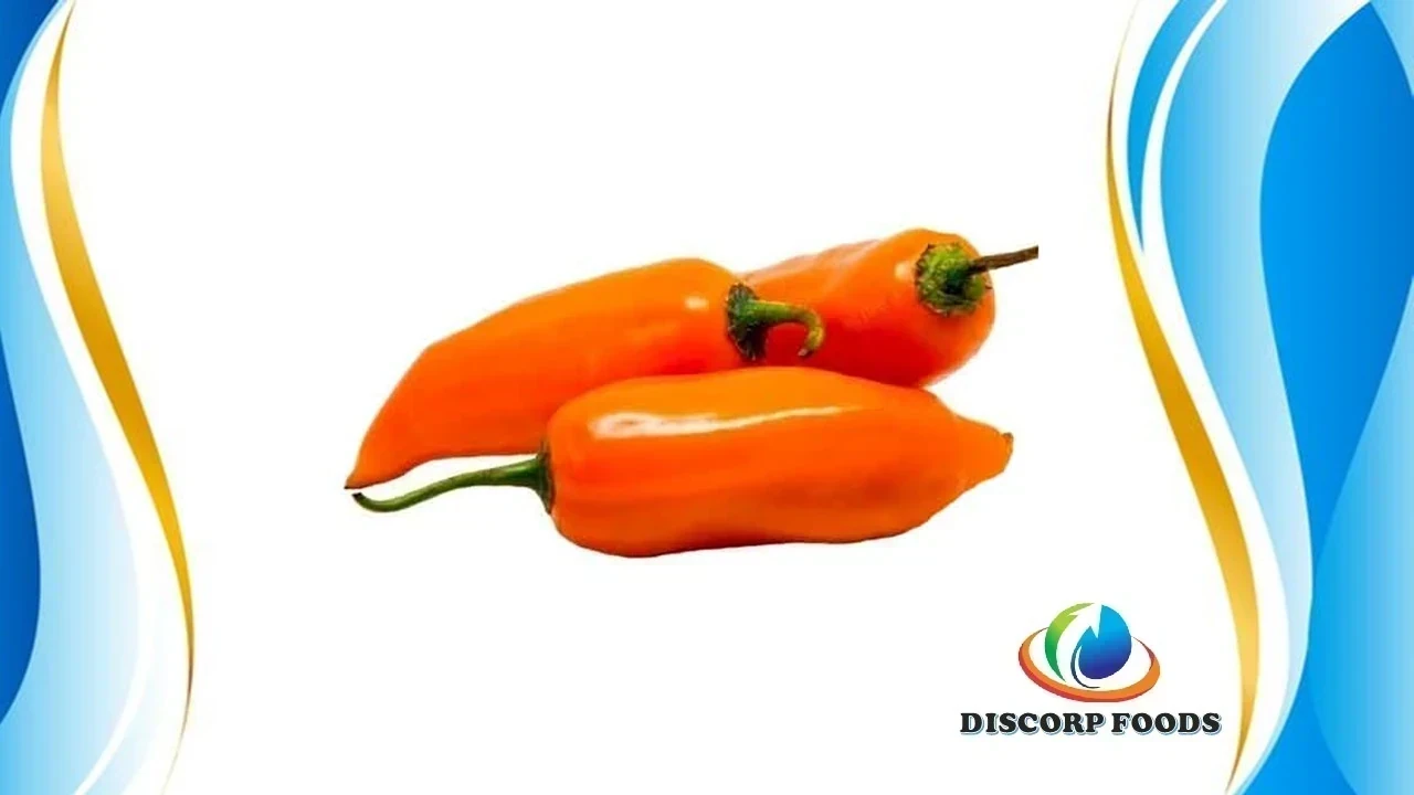 AJI AMARILLO