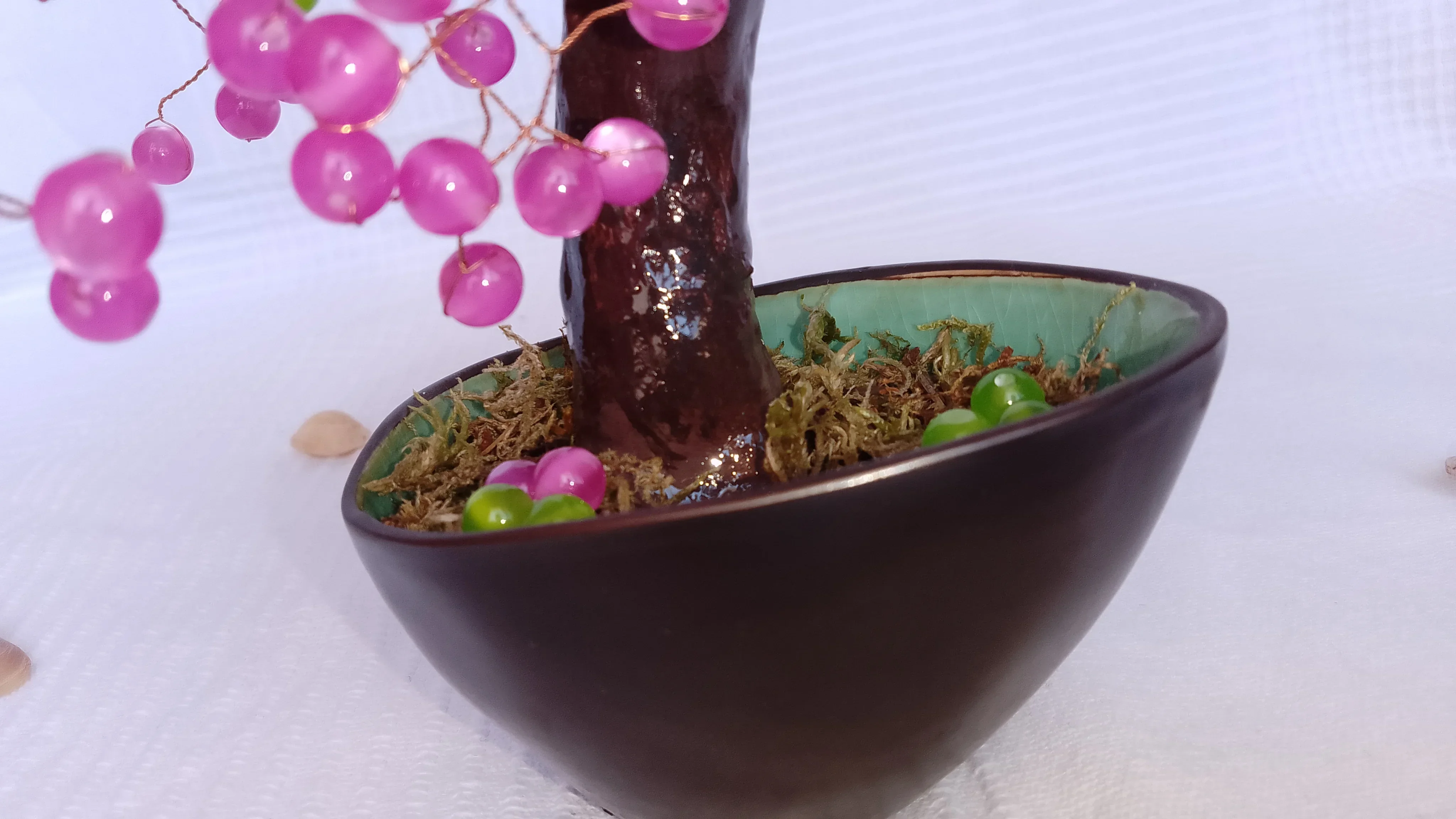 Bonsai Chocolate Fucsia 3