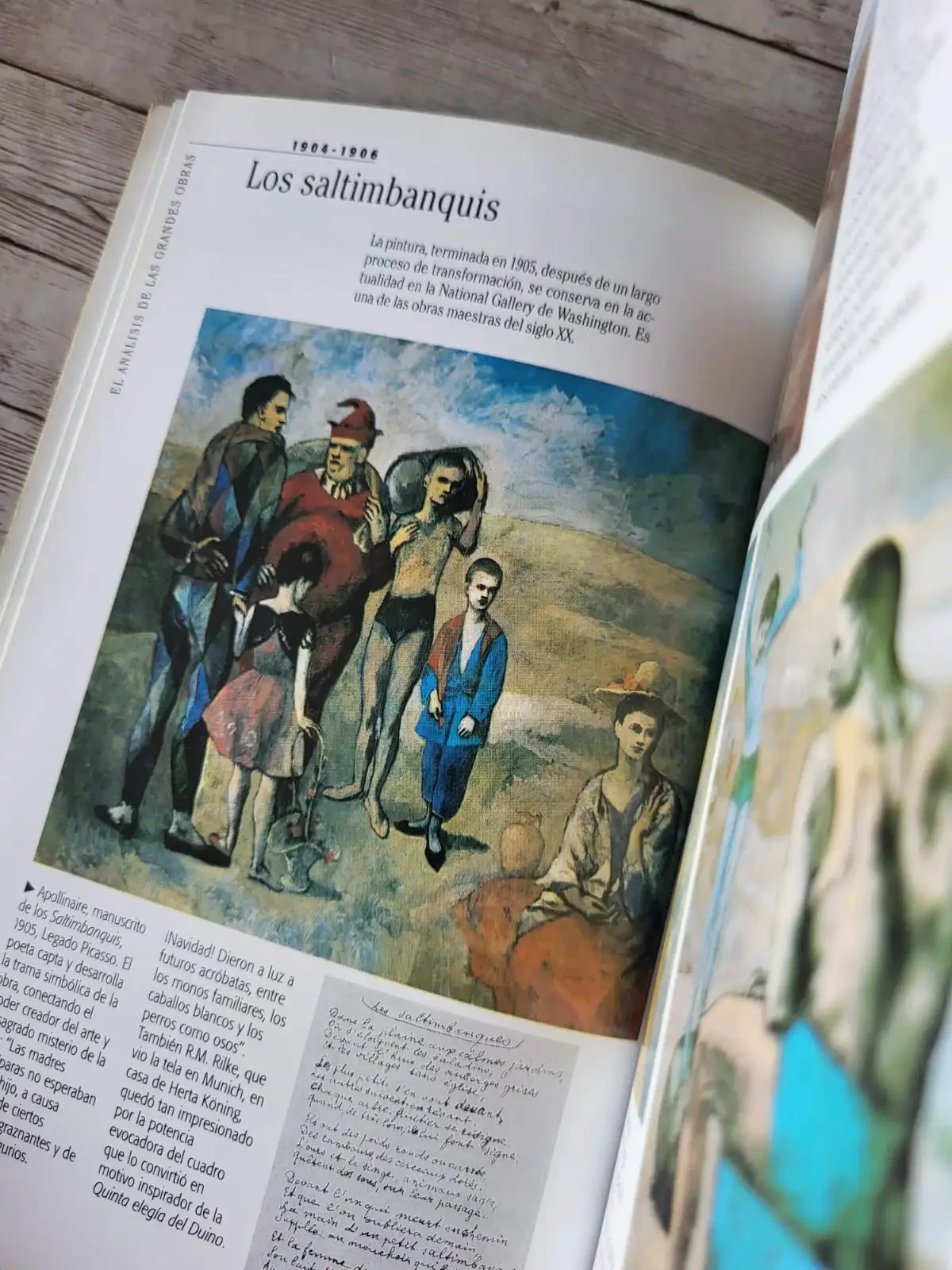 Picasso / Art Book /Arte 4