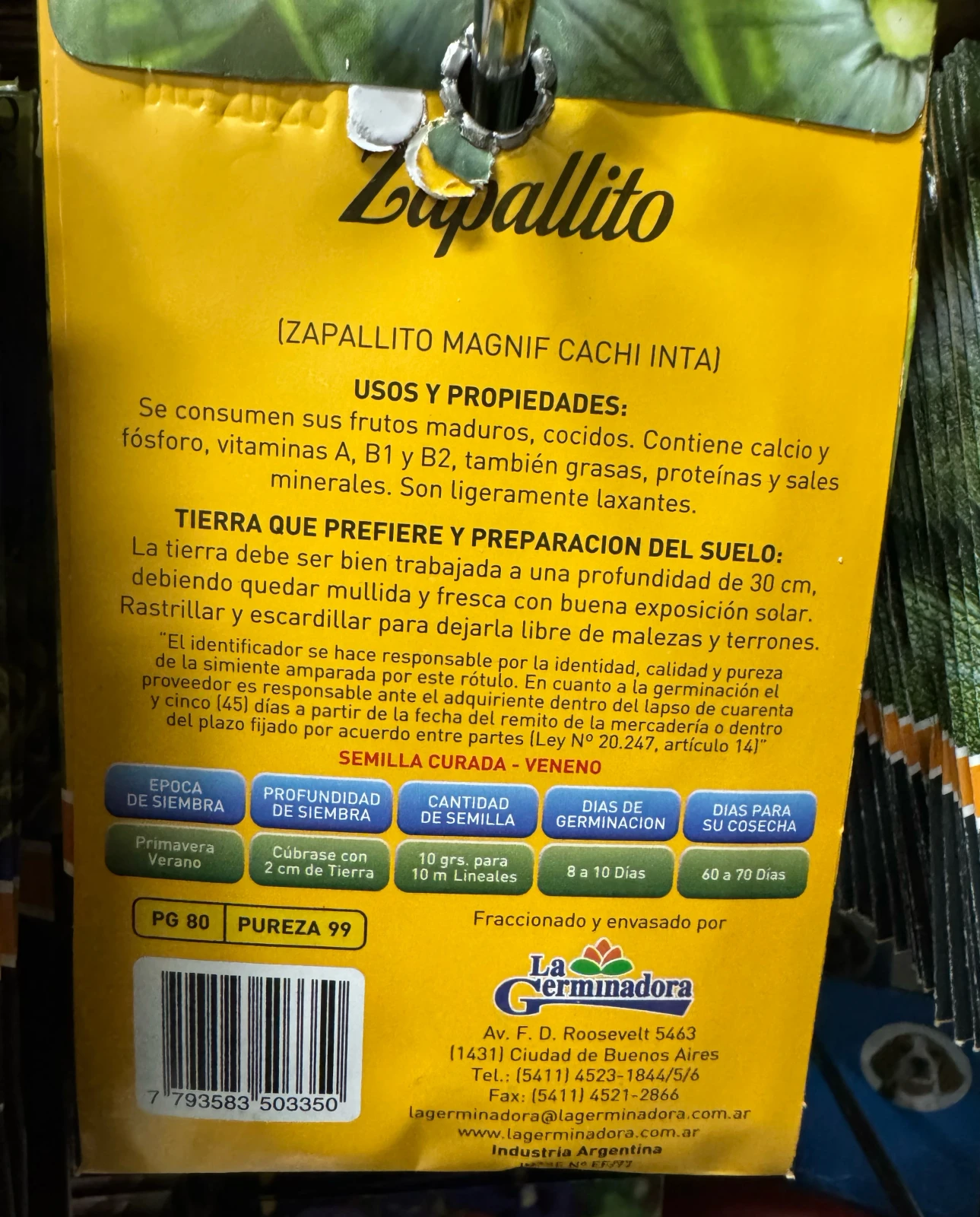ZAPALLITO 2