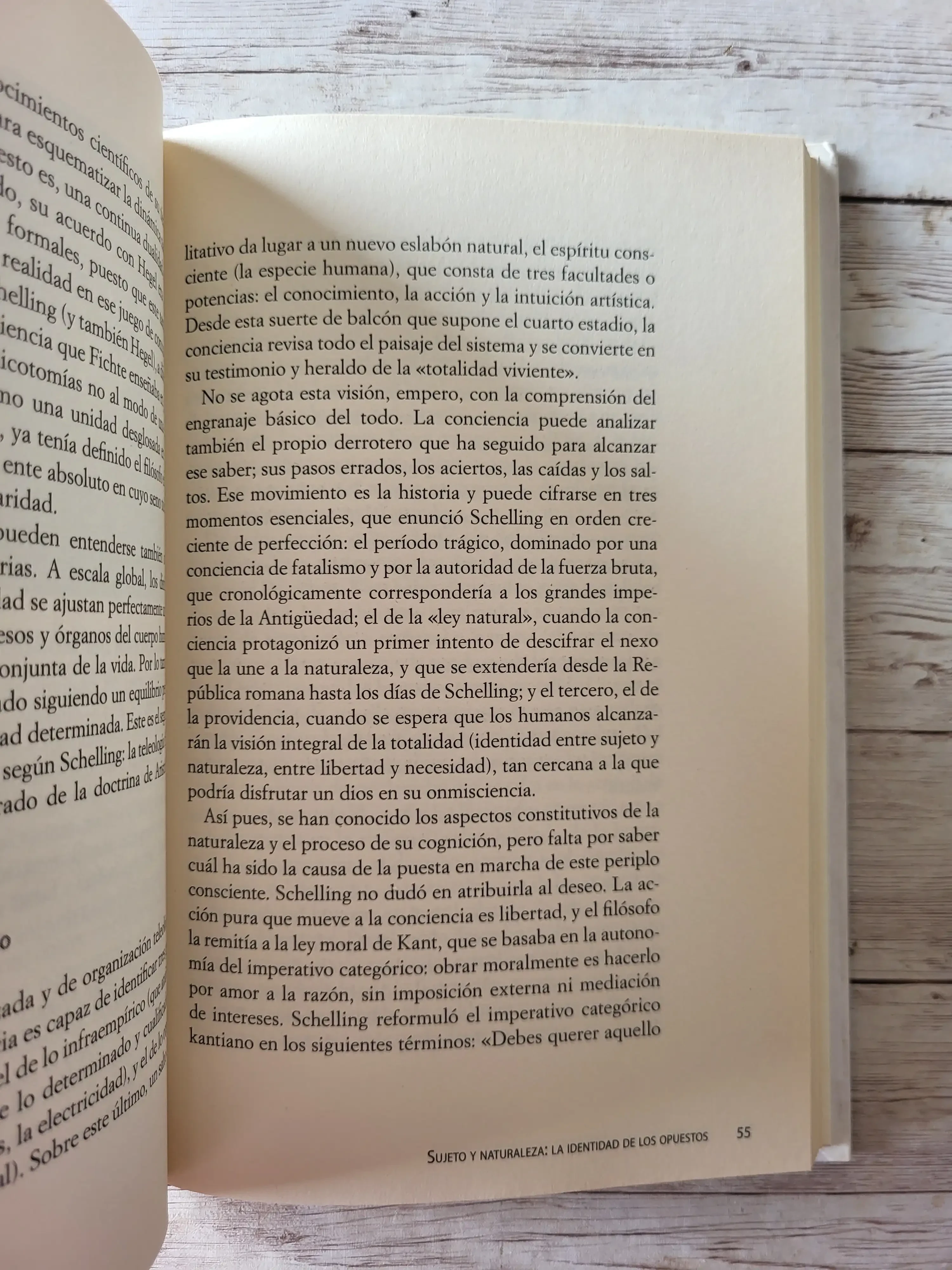 El hombre es parte de la naturaleza y debe, por tanto, vivir en armonía con ella./ Schelling / Filosofia 3