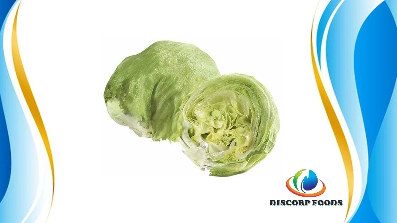 LECHUGA AMERICANA