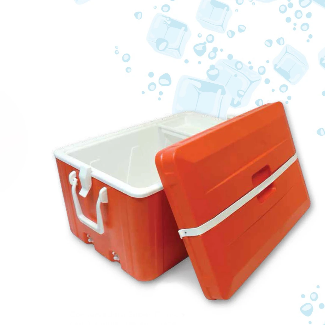Conservadora 70 litros 
