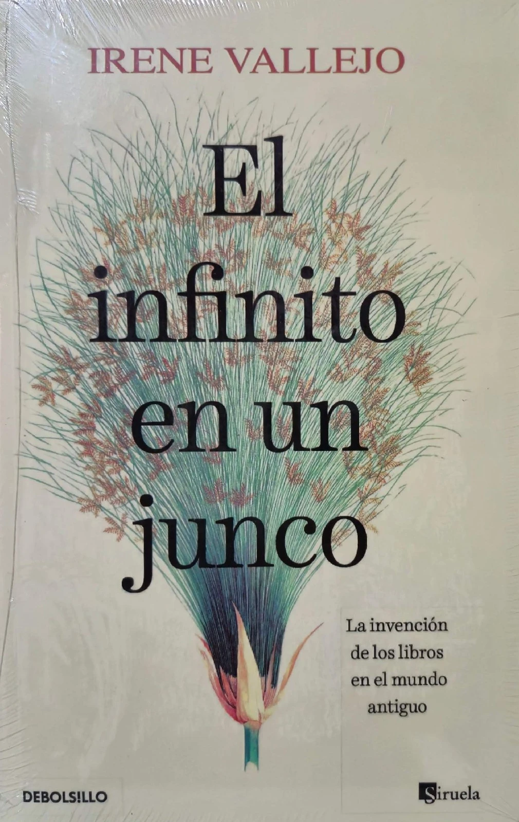 EL INFINITO EN UN JUNCO