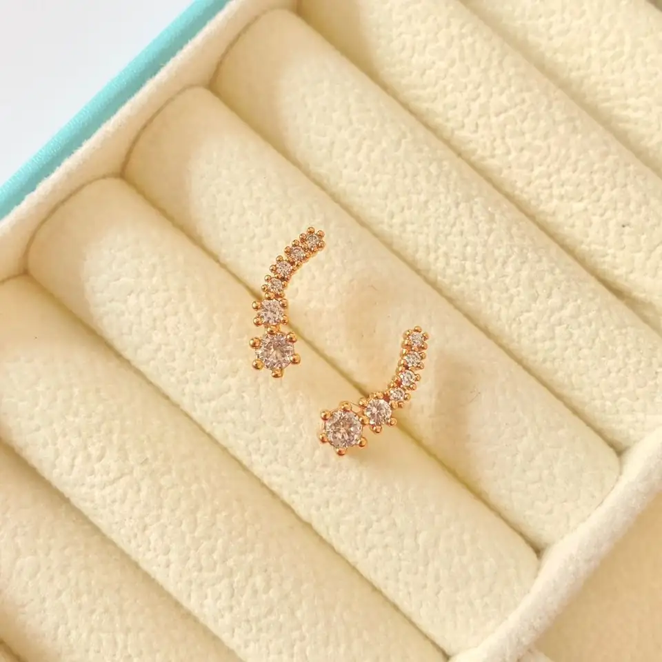 Aretes princesa