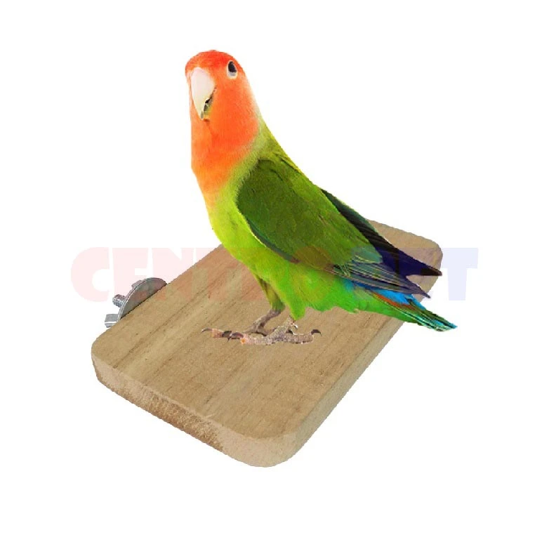 Plataforma Rectangular 12*7cm Pra-20