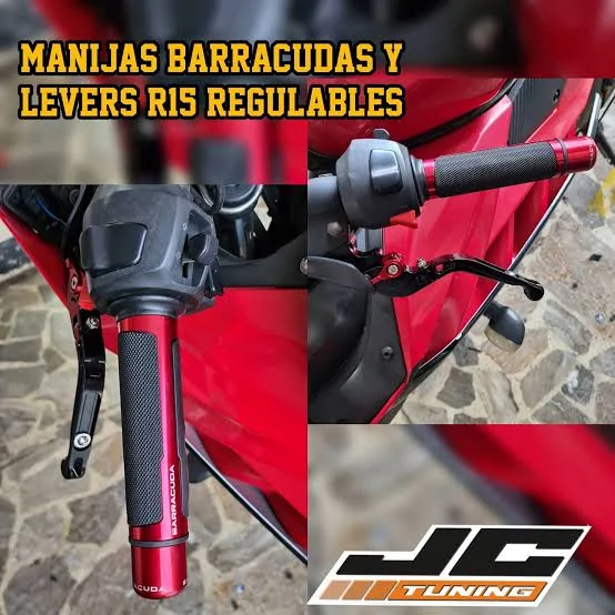 MANIJA BARRACUDAS 