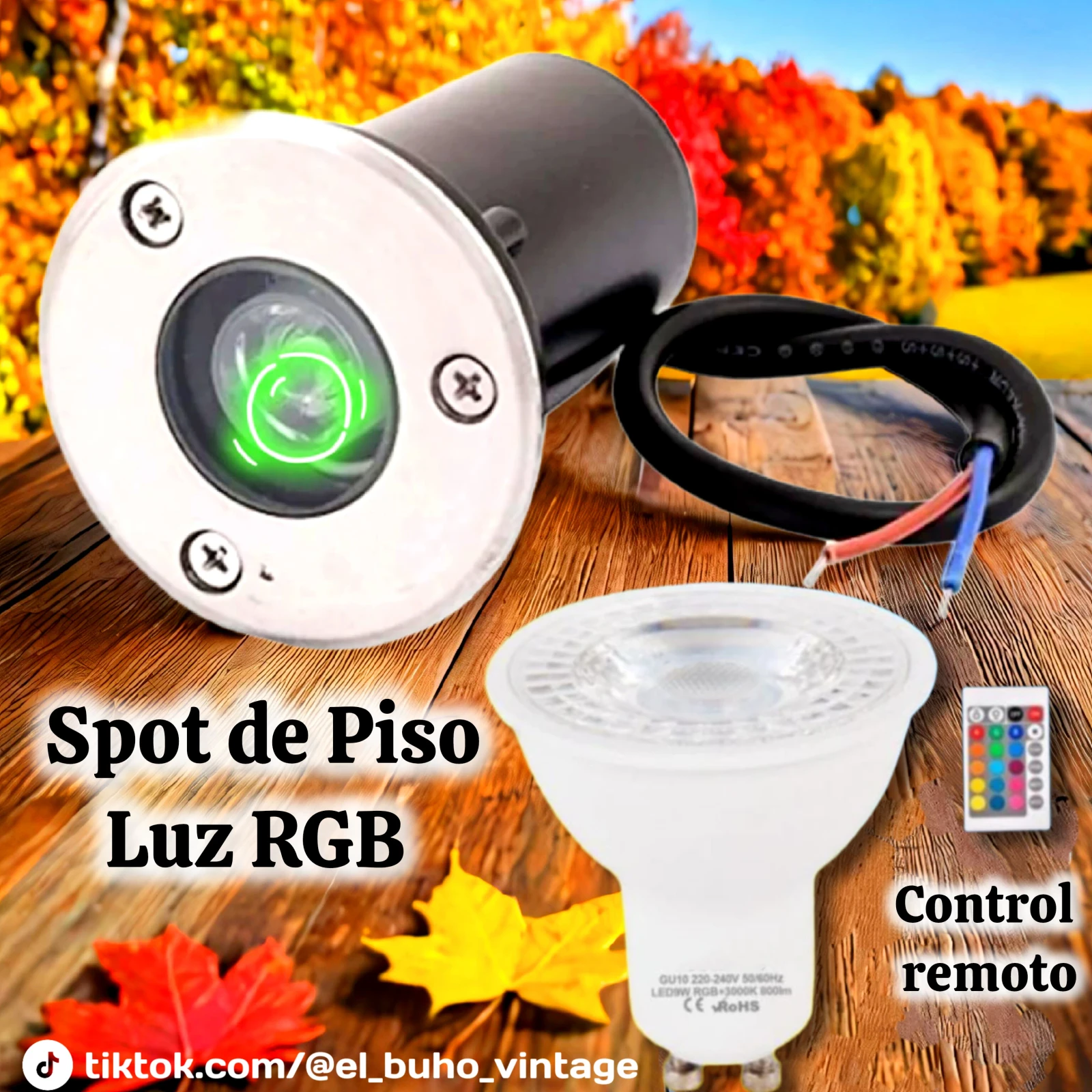 SPOT PARA PISO CON LUZ RGB 9W 2